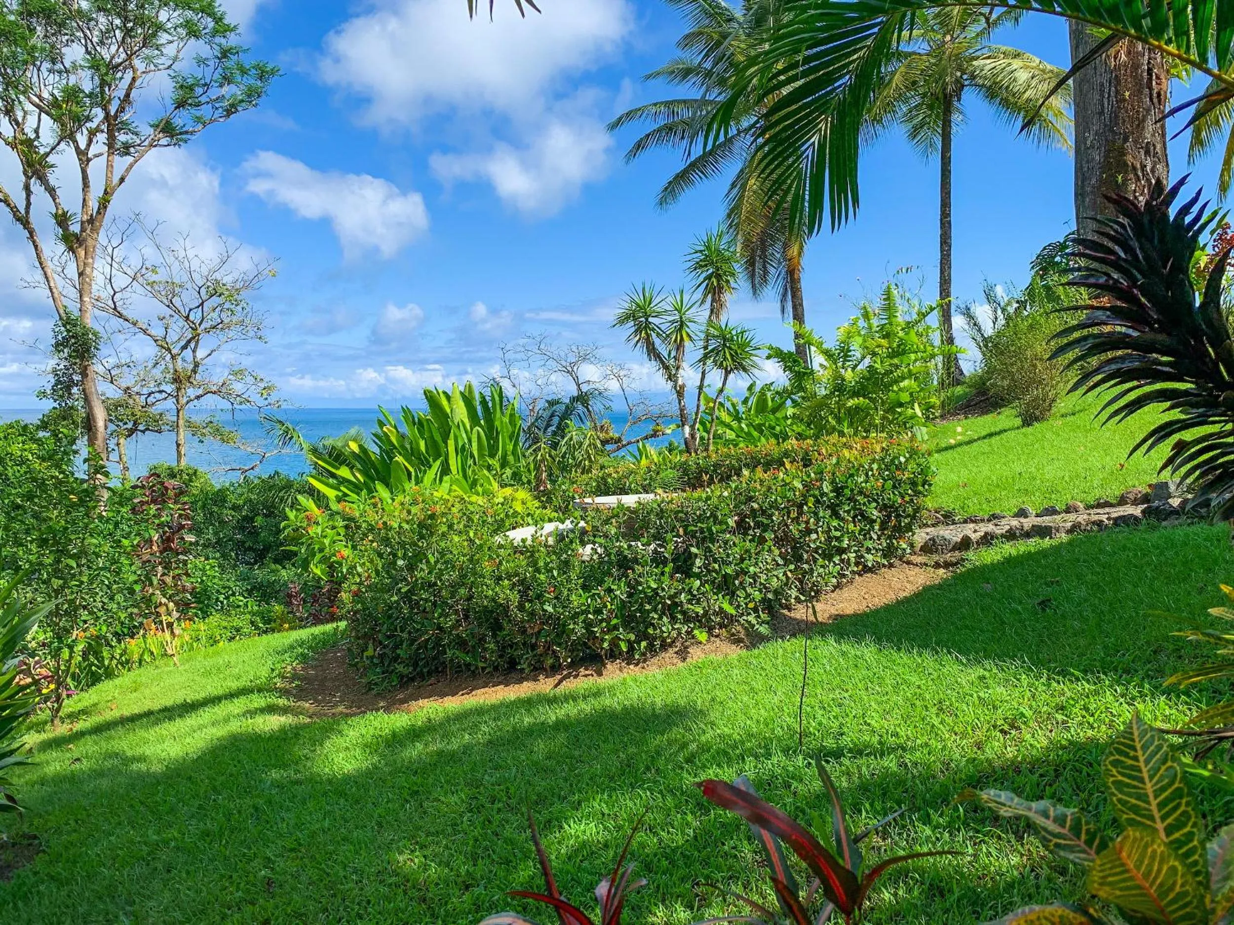 Garden in Las Caletas Lodge