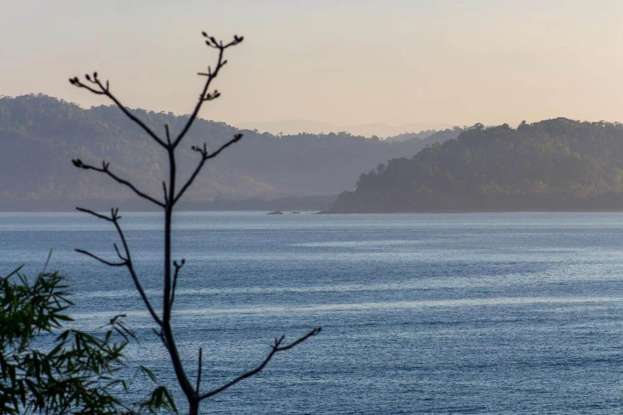 Natural landscape in Las Caletas Lodge