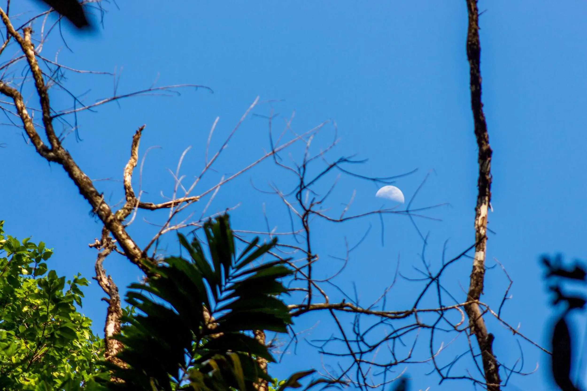 Natural landscape in Las Caletas Lodge