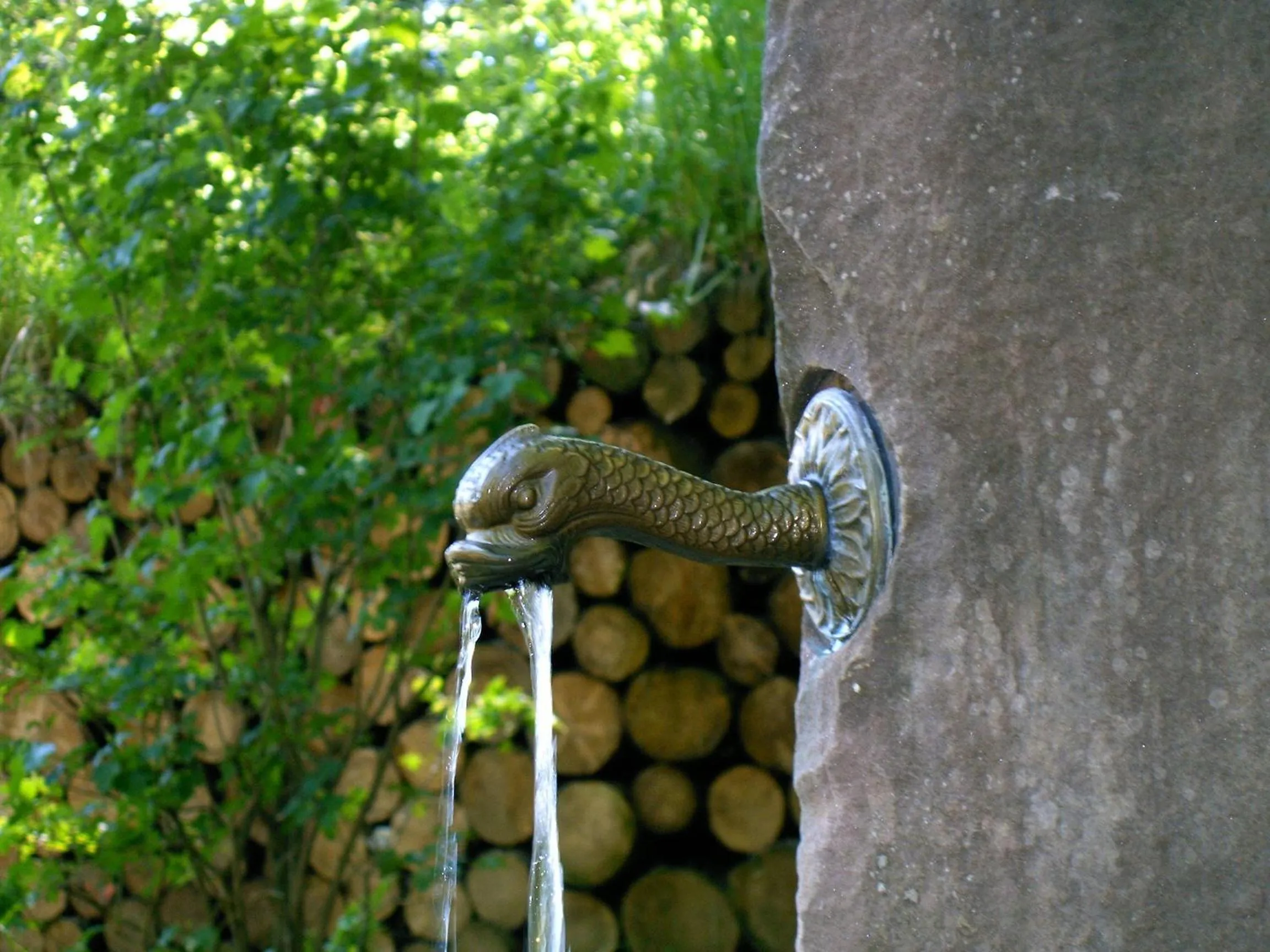 Area and facilities in Hotel Panorama