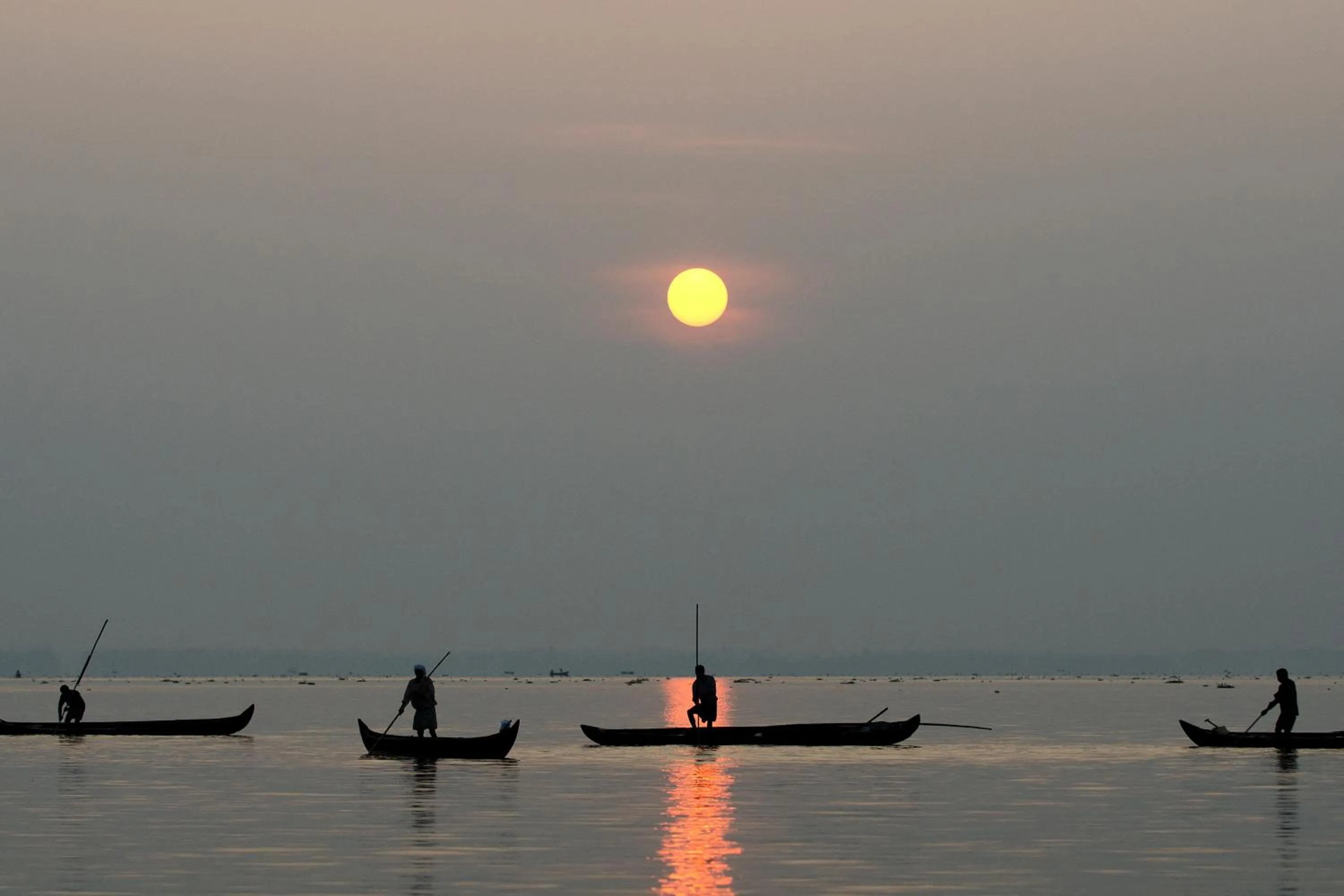 View (from property/room) in Purity at Lake Vembanad