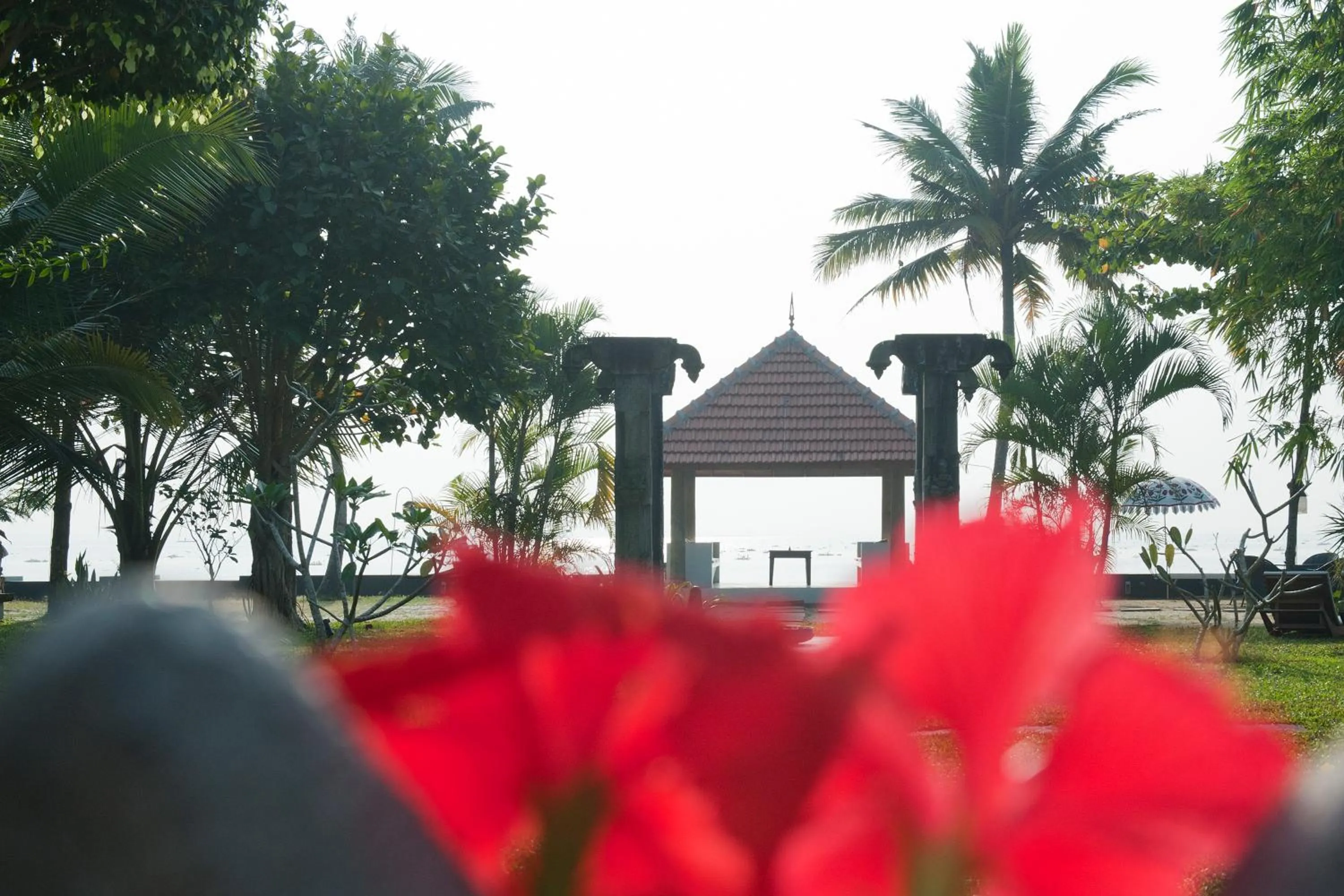 Area and facilities in Purity at Lake Vembanad