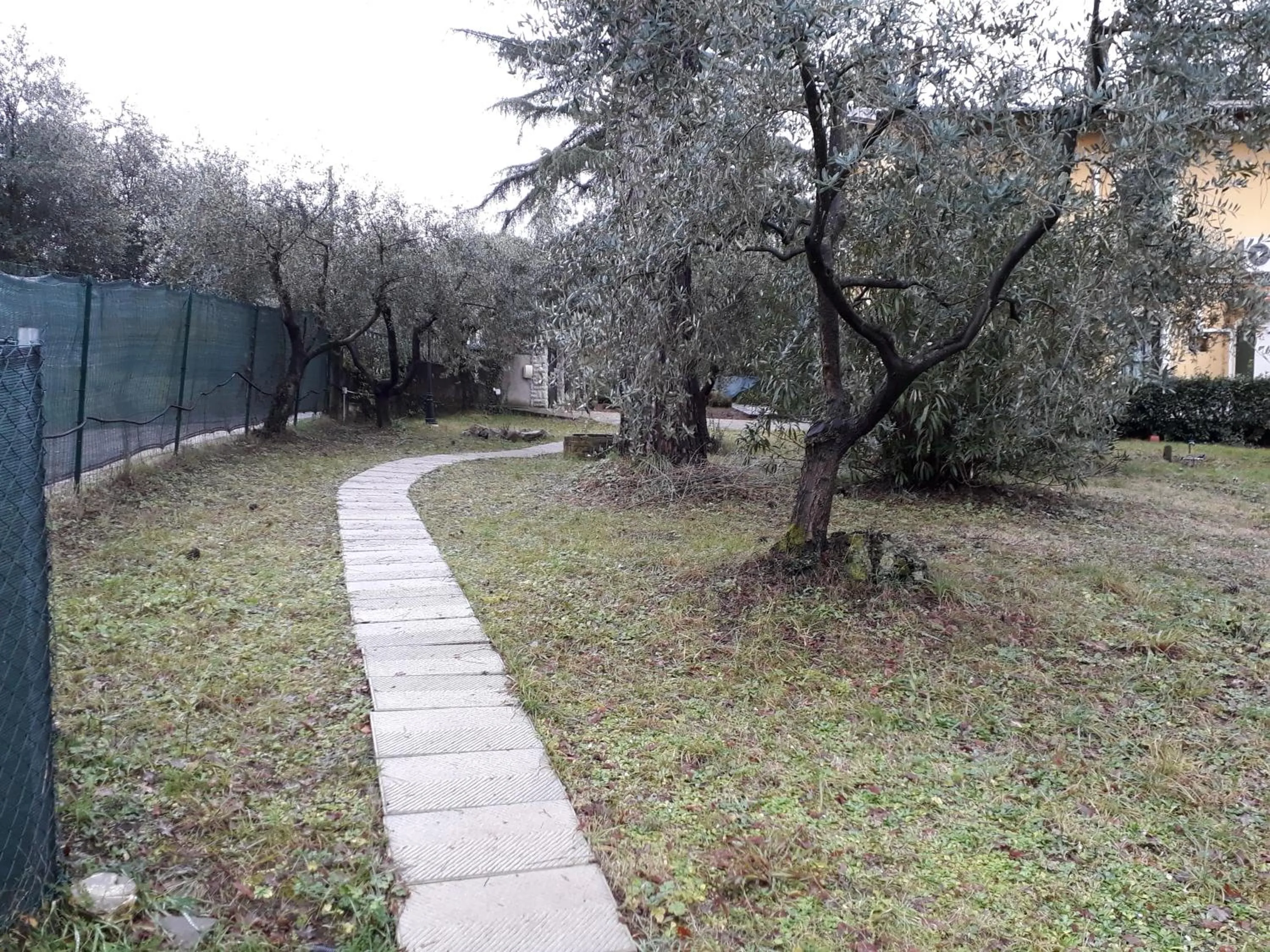 Garden in La Stregatta