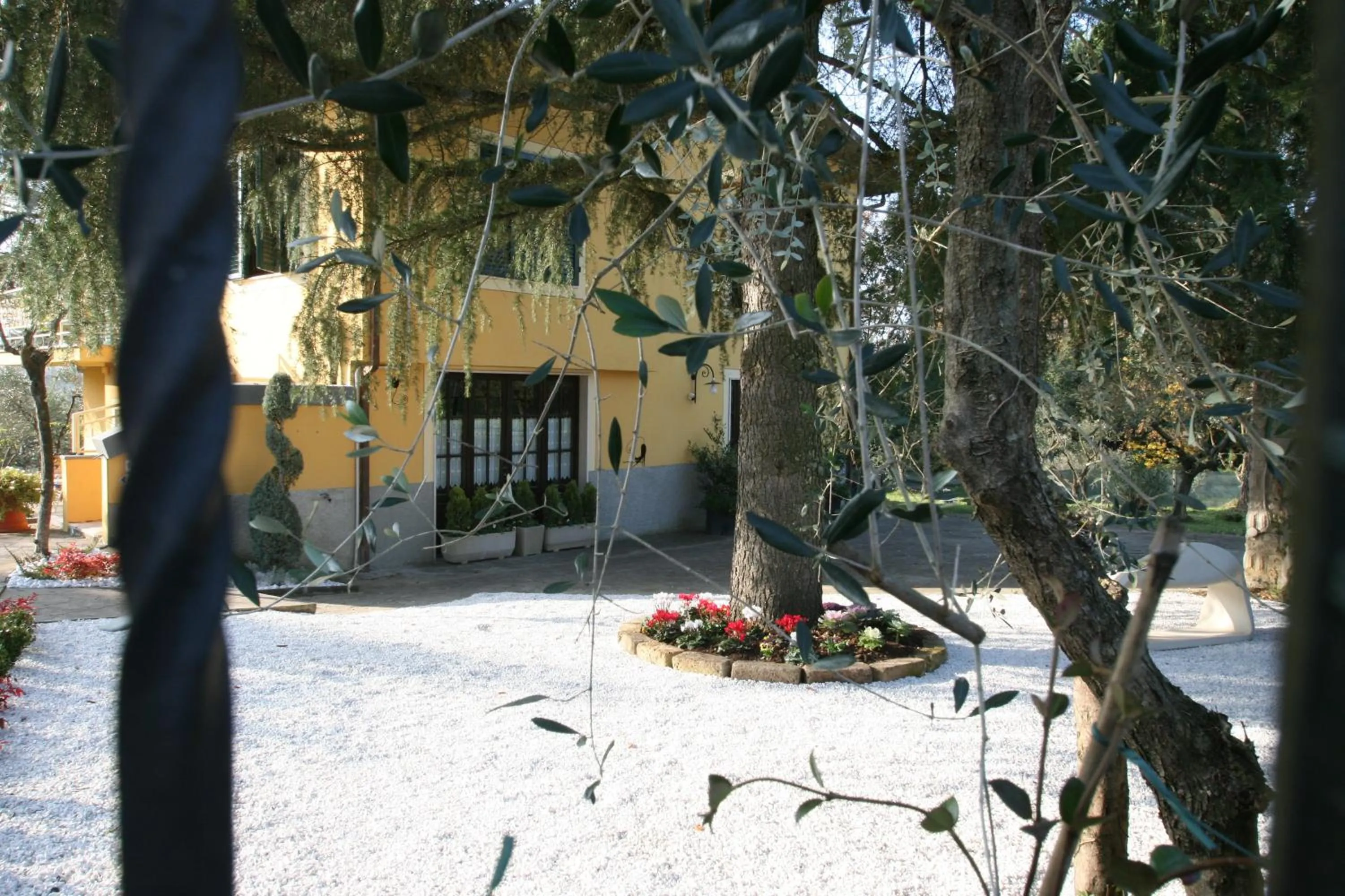 Bird's eye view in La Stregatta