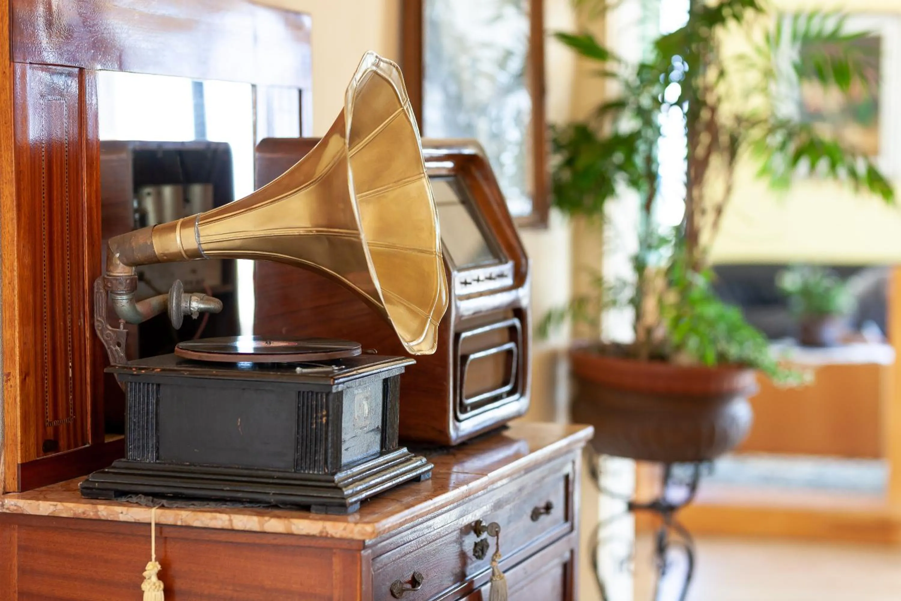 Hotel Primavera sul mare