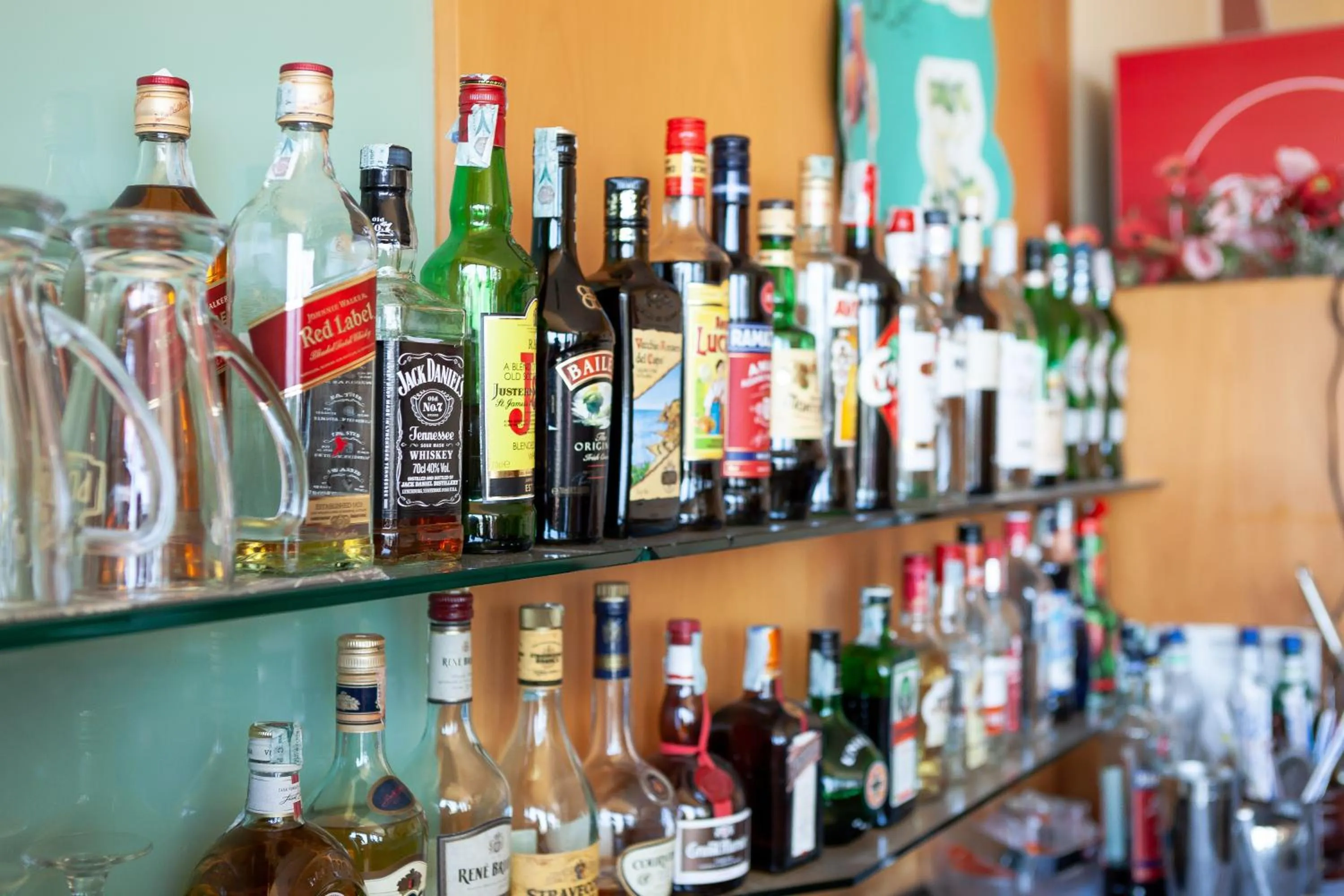 Hotel Primavera sul mare