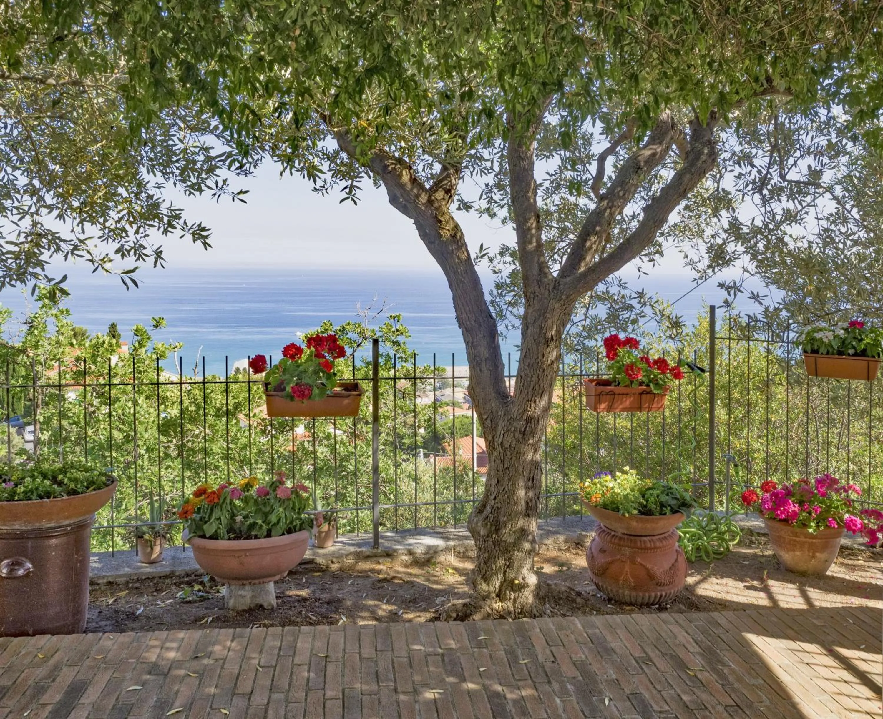 Garden in Tra Gli Ulivi