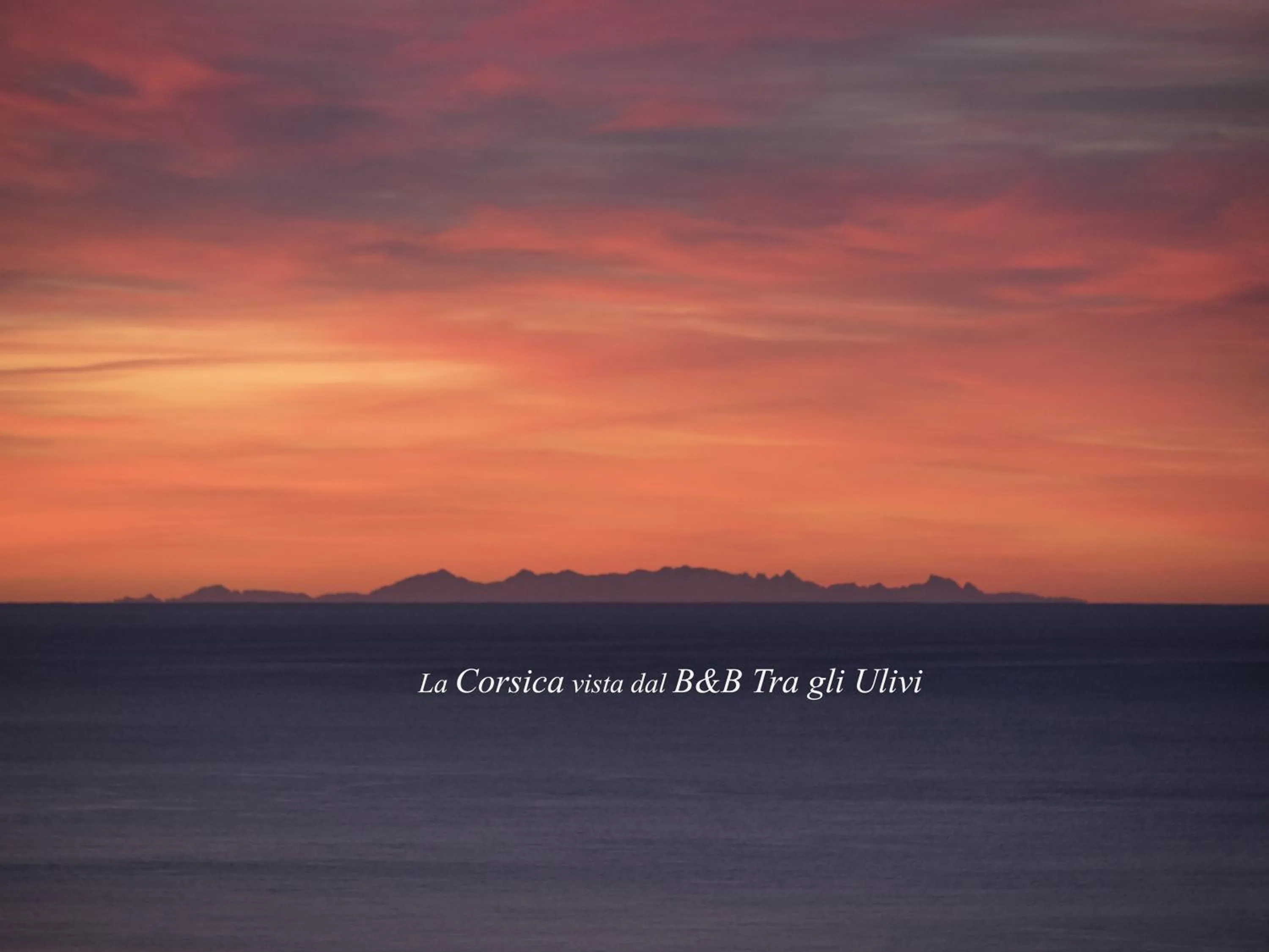 View (from property/room) in Tra Gli Ulivi