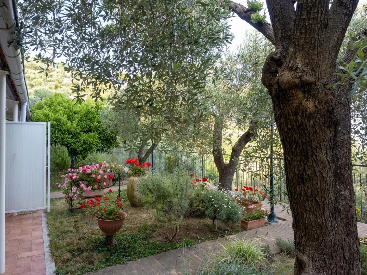 Garden in Tra Gli Ulivi