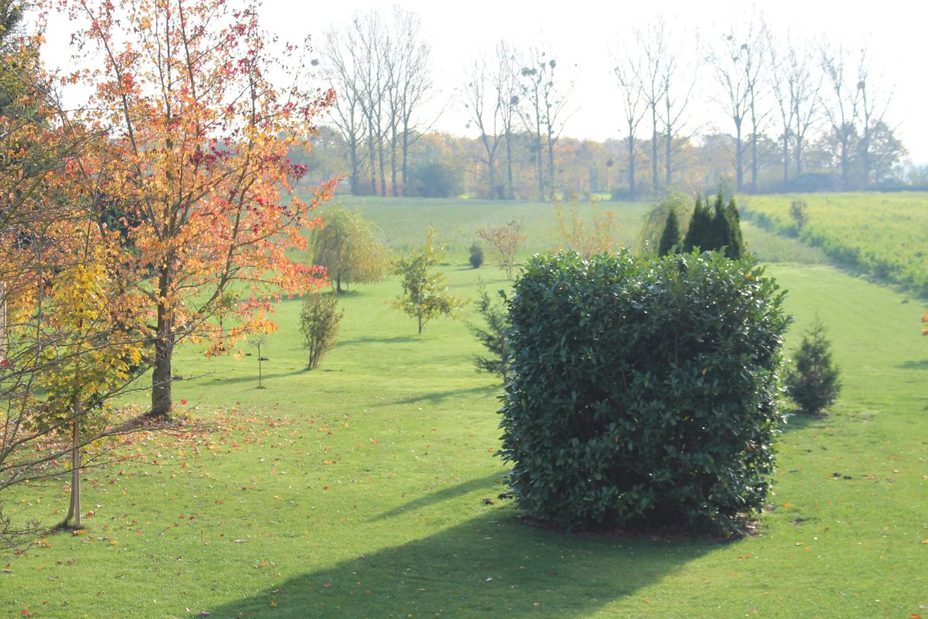 Garden view in Landhaus Jägerkrug