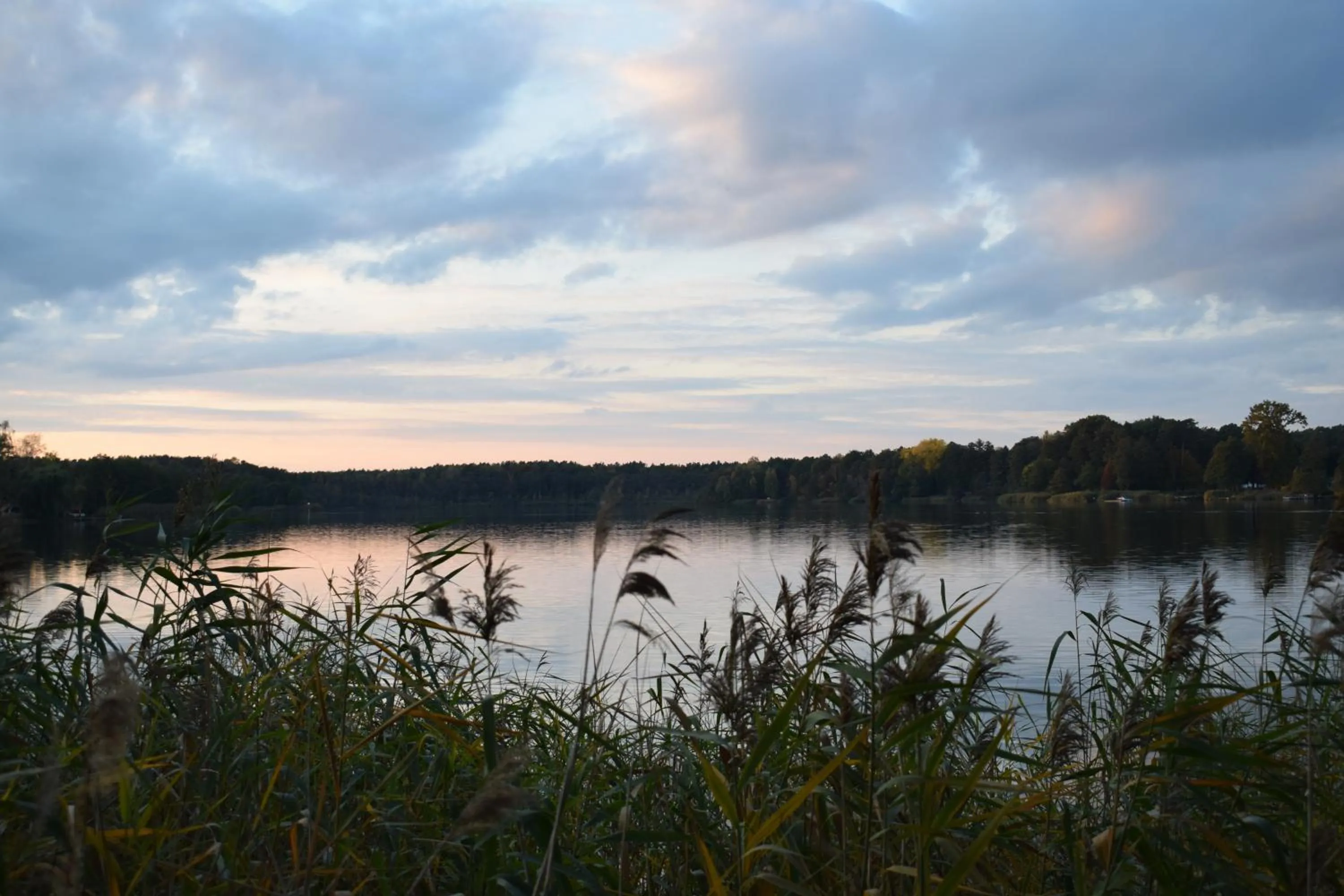 Lake view in Hotel Seeschlösschen
