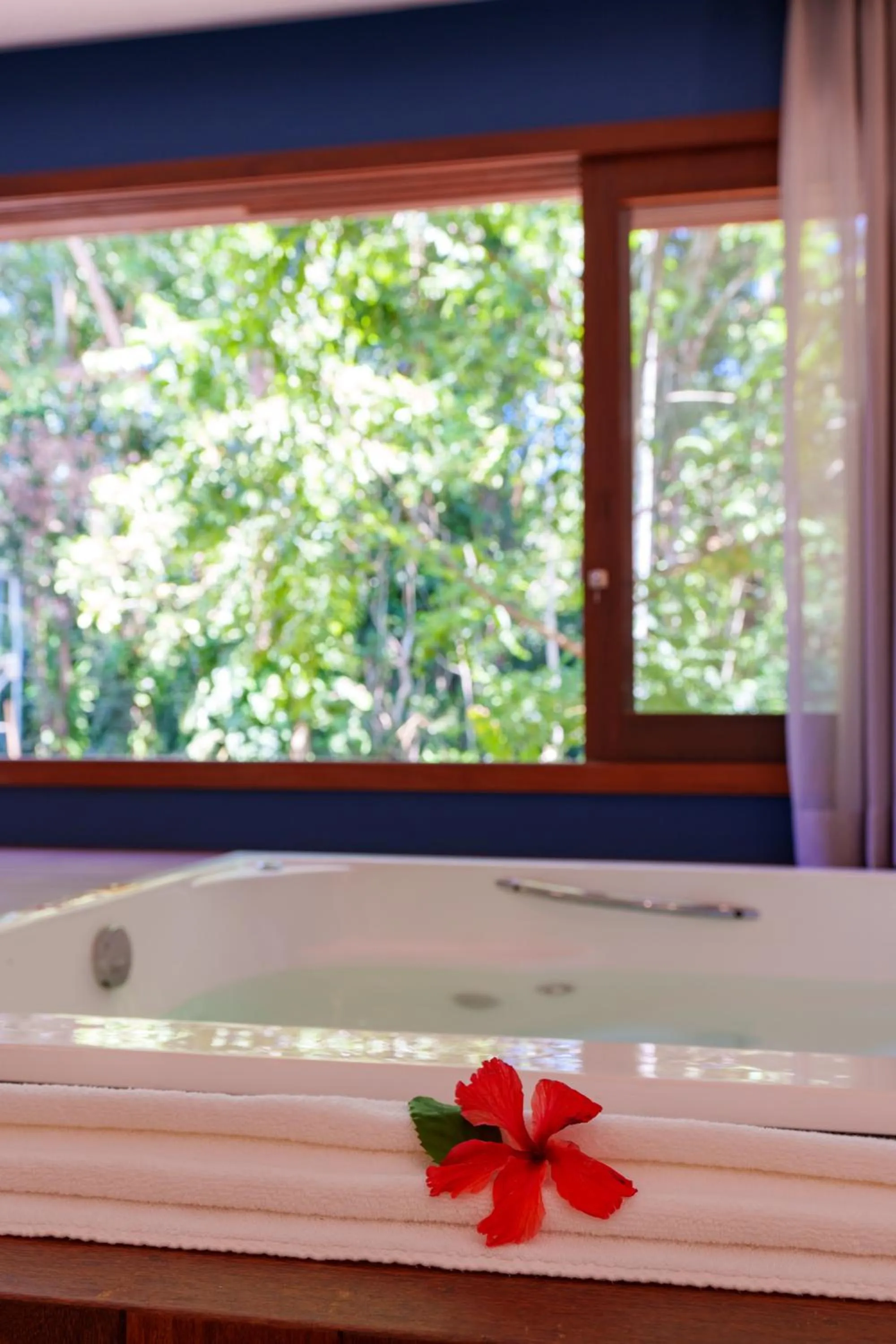 Hot Tub in Resende Imperial Hotel & Spa