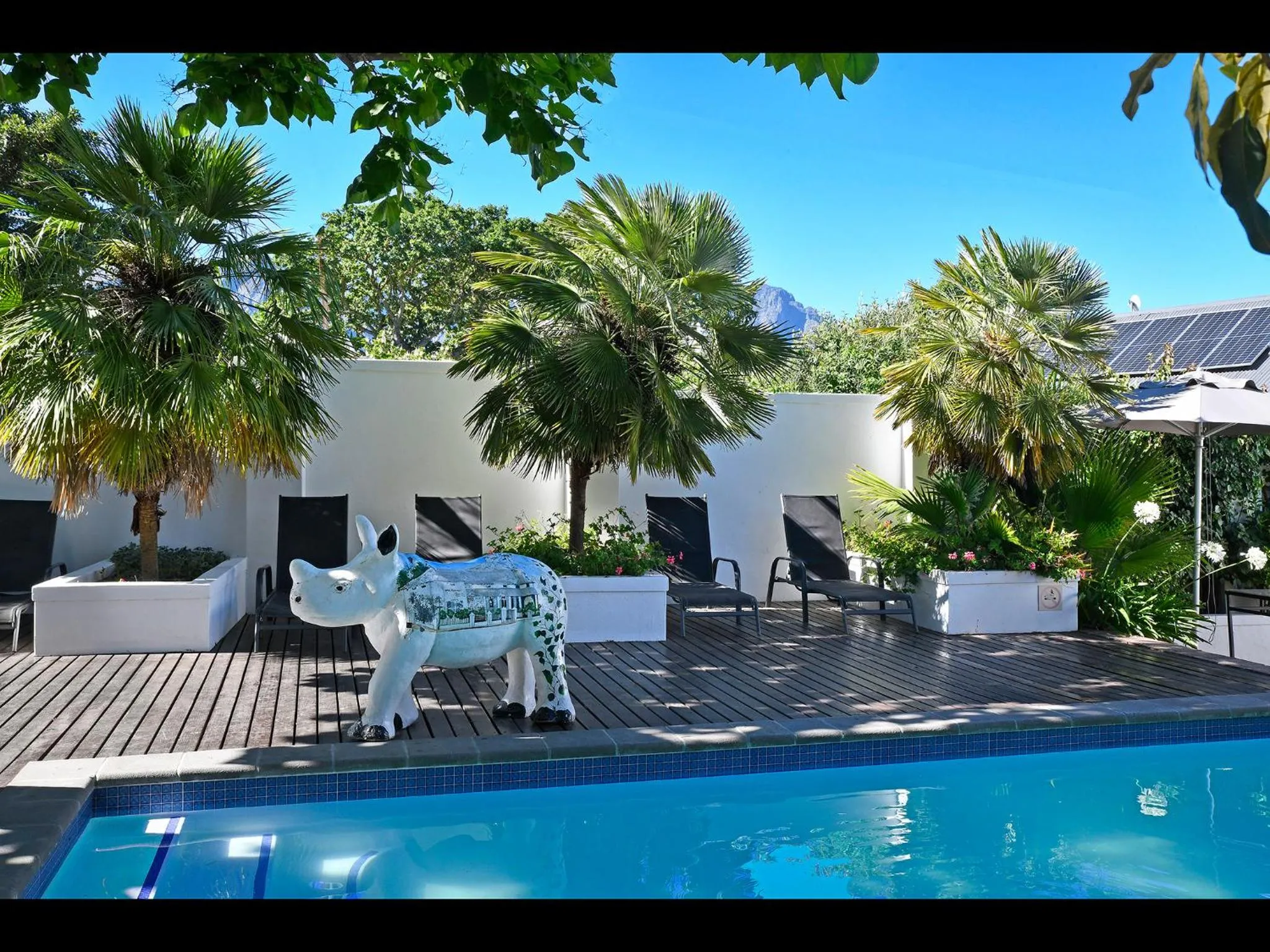 Swimming pool in Ashbourne Boutique Guest House