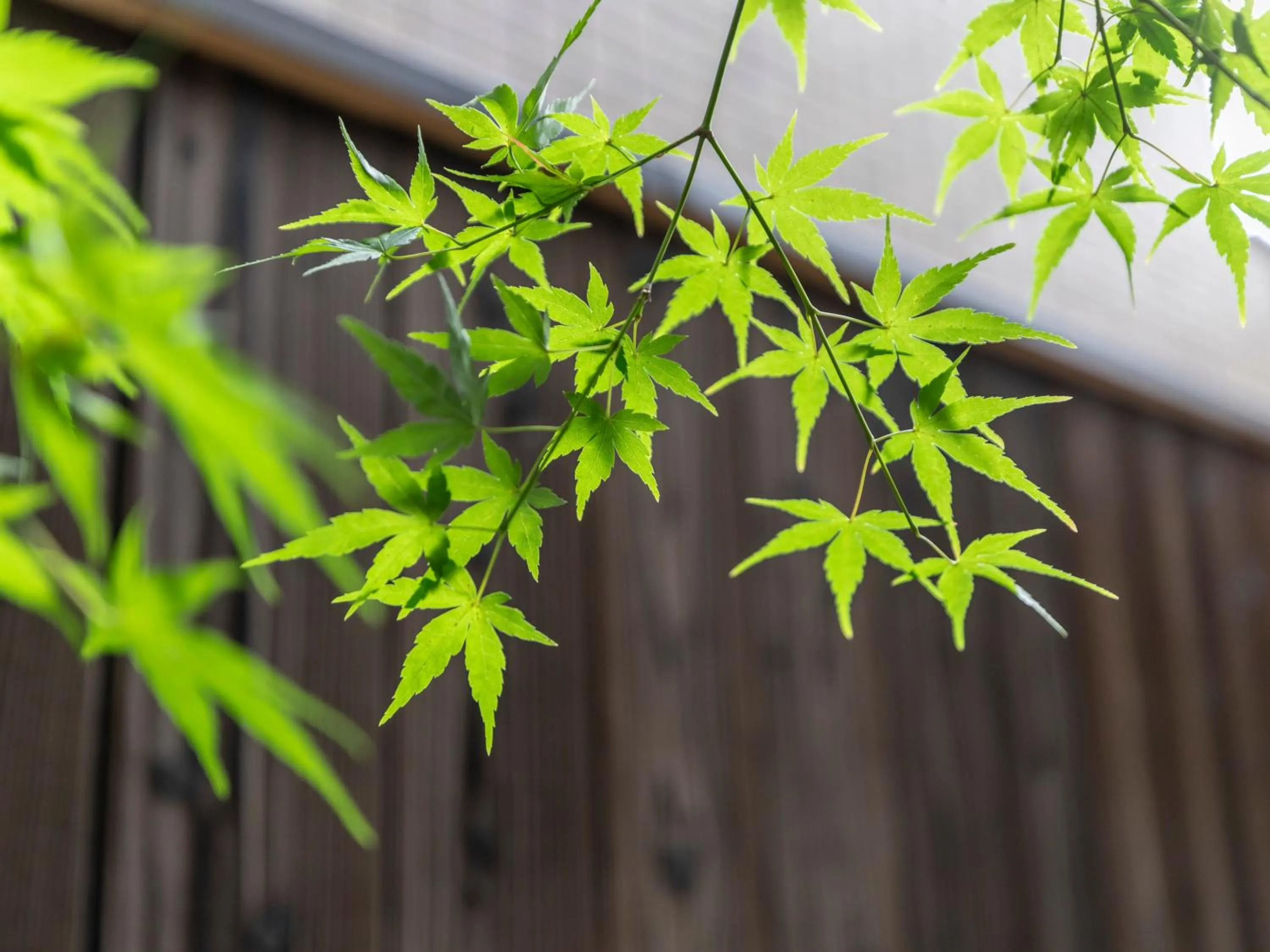 Property building in Tabist kiki HOTEL KYOTO Gojo Karasuma