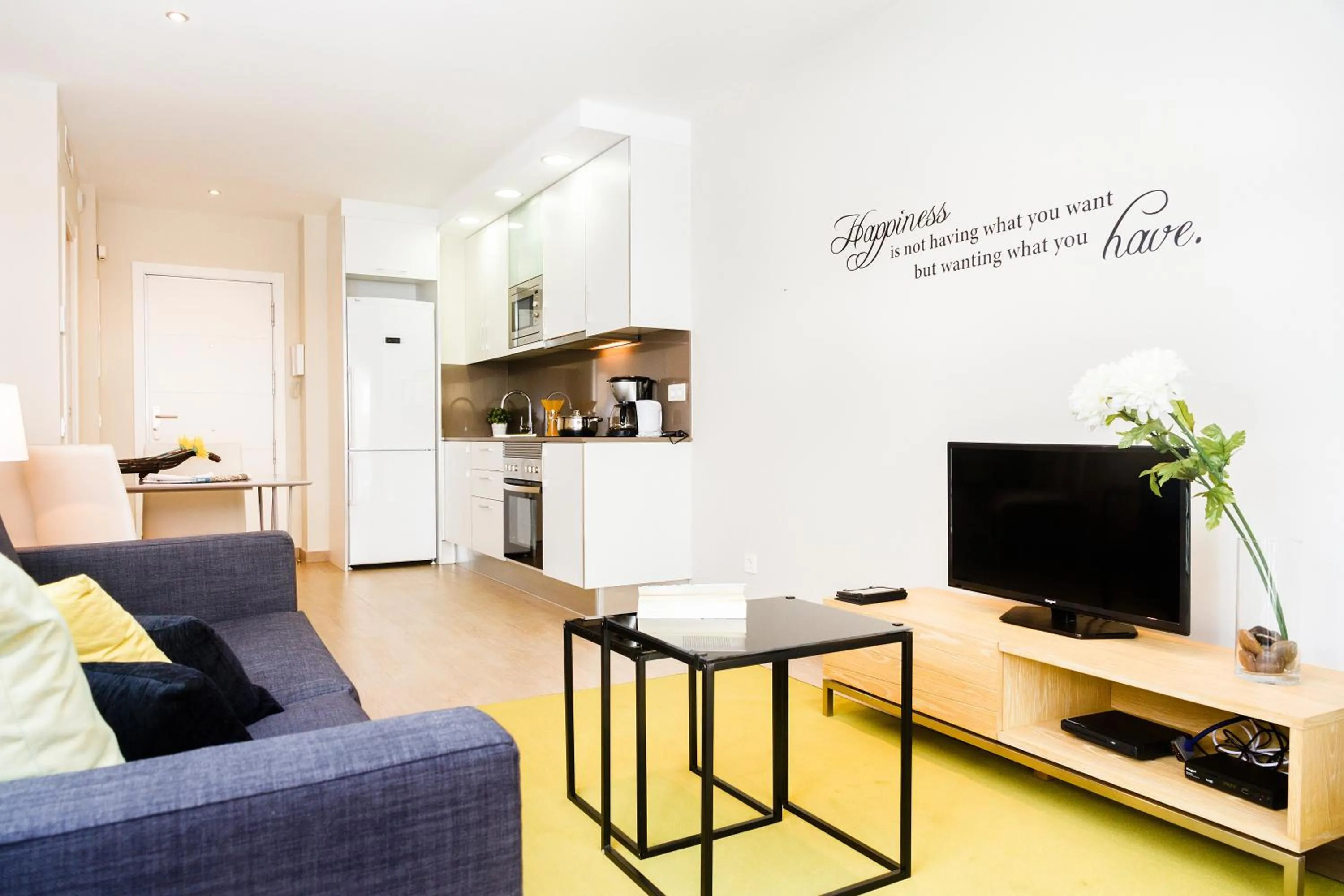 TV and multimedia in Feelathome Plaza Apartments