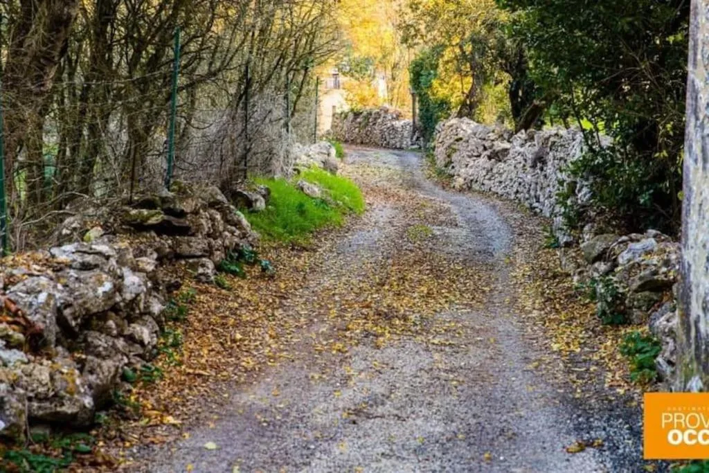 L atelier de RAYMOND