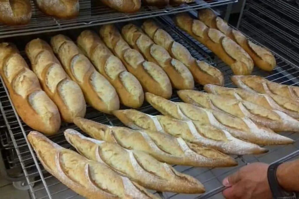 L atelier de RAYMOND