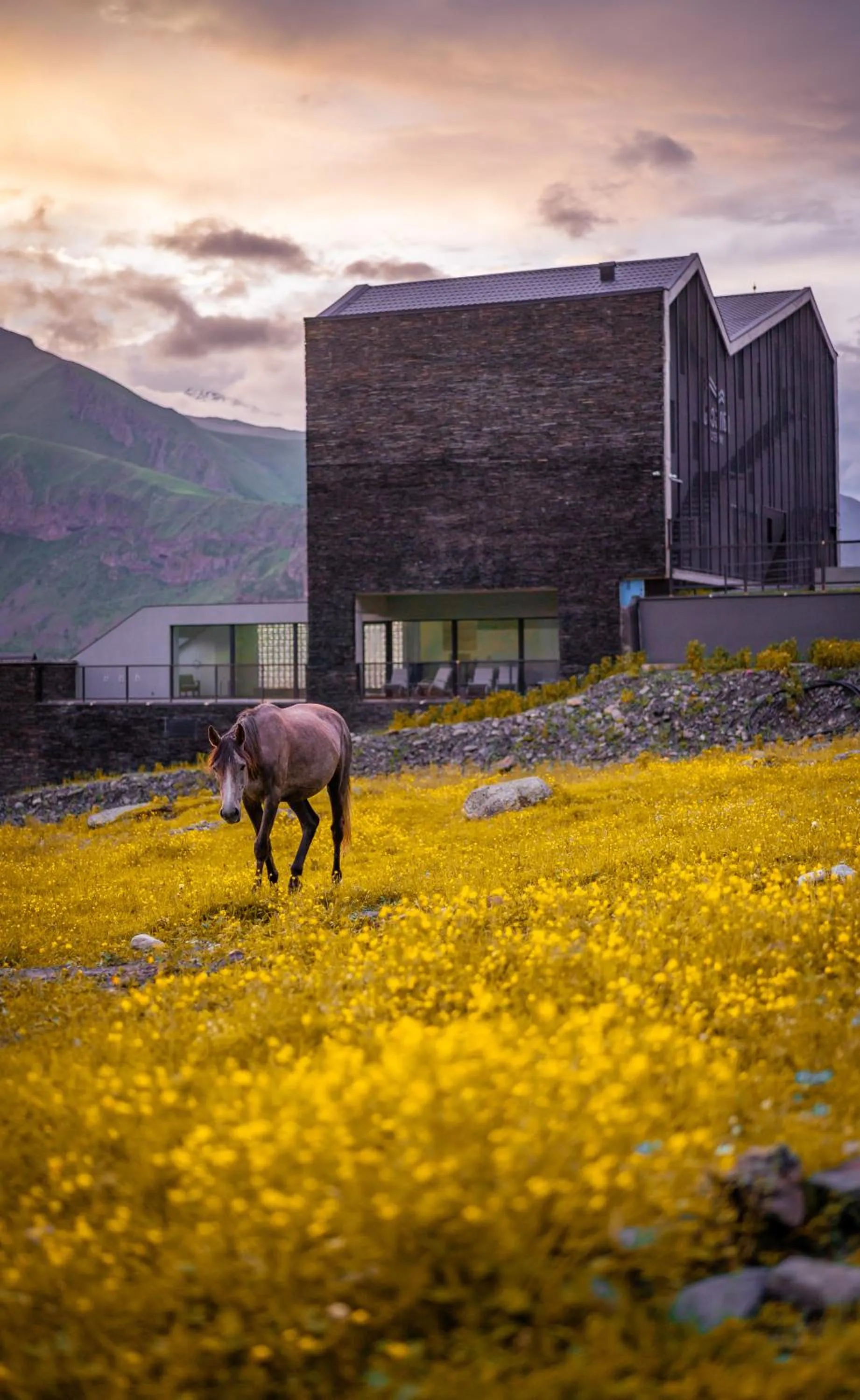 Day in Step Inn - Kazbegi