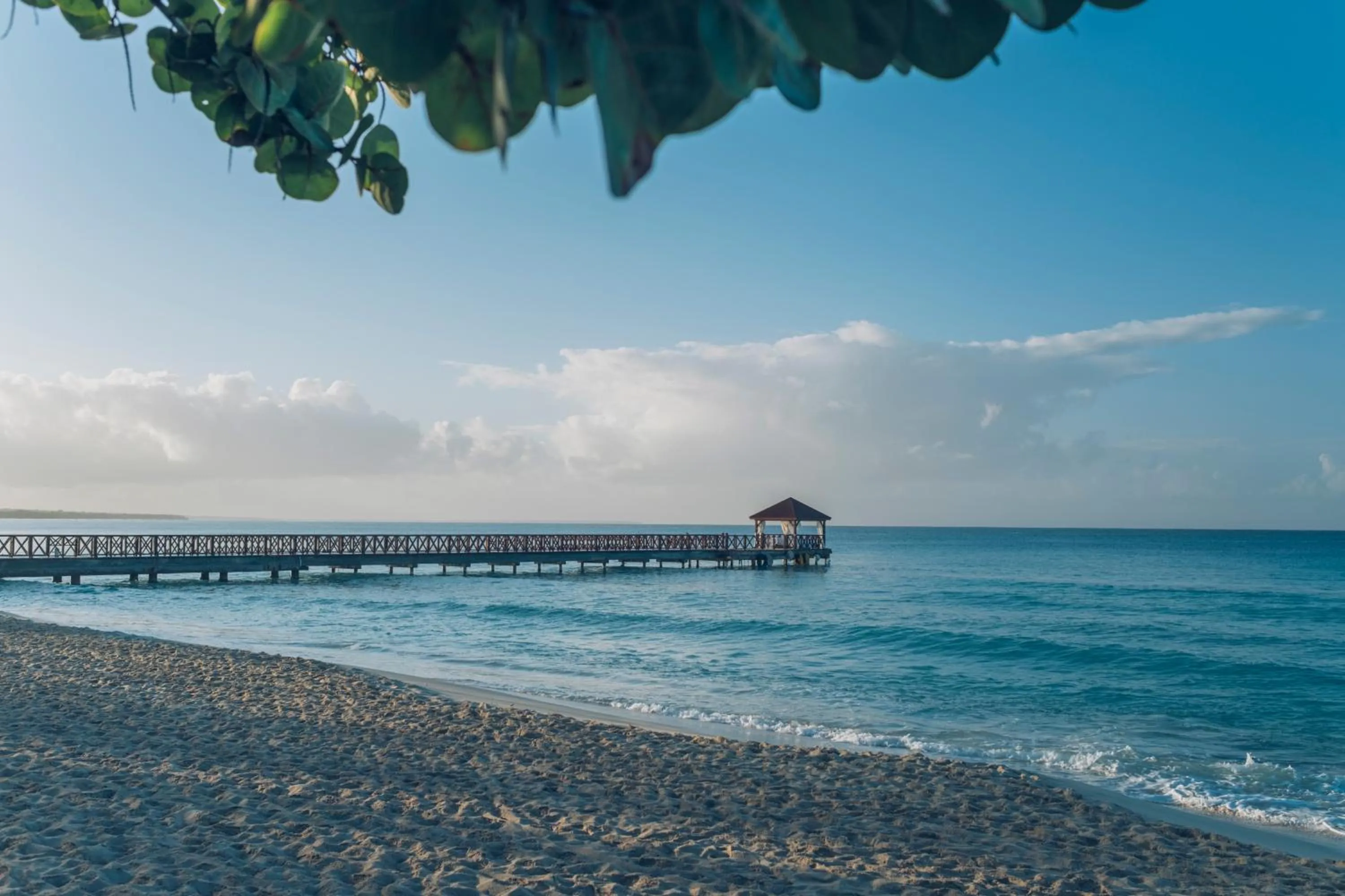 Natural landscape in Iberostar Selection Hacienda Dominicus - All Inclusive