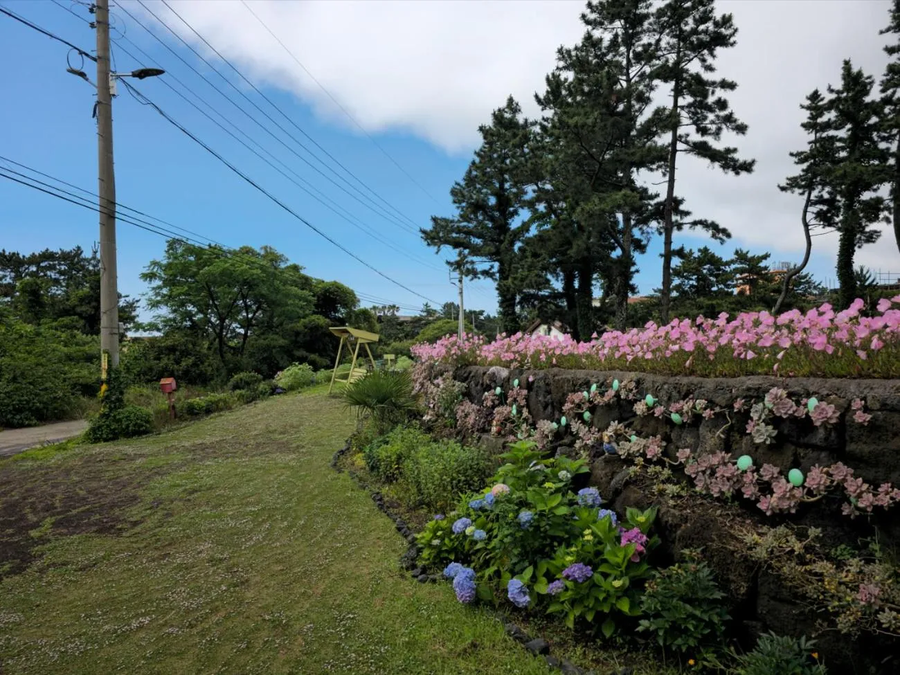 Natural landscape in Sodamhyang Pension