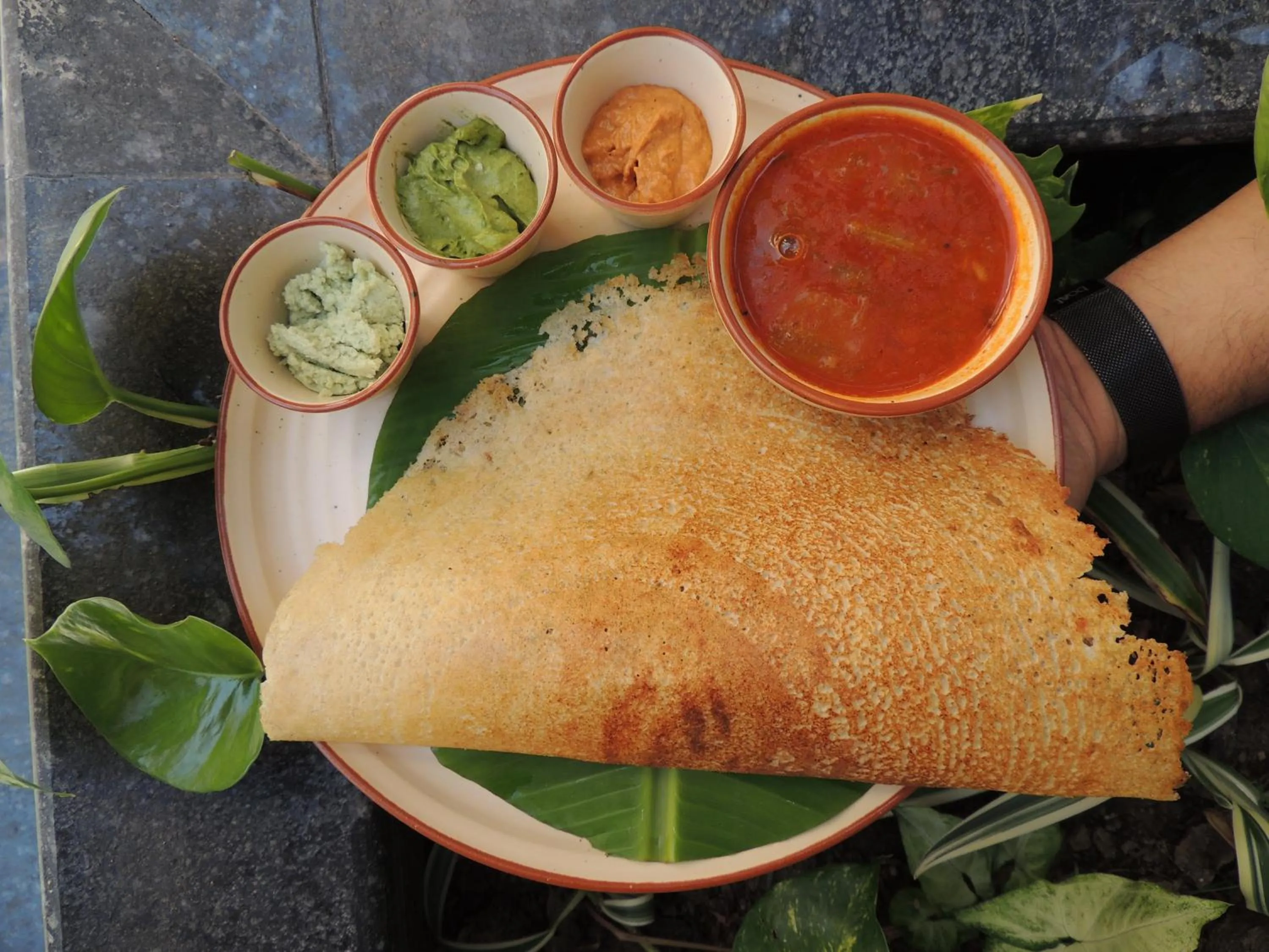 Restaurant/places to eat in Radisson Blu Resort Kumbhalgarh