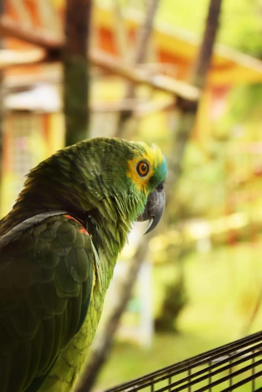 Pousada Pé da Serra