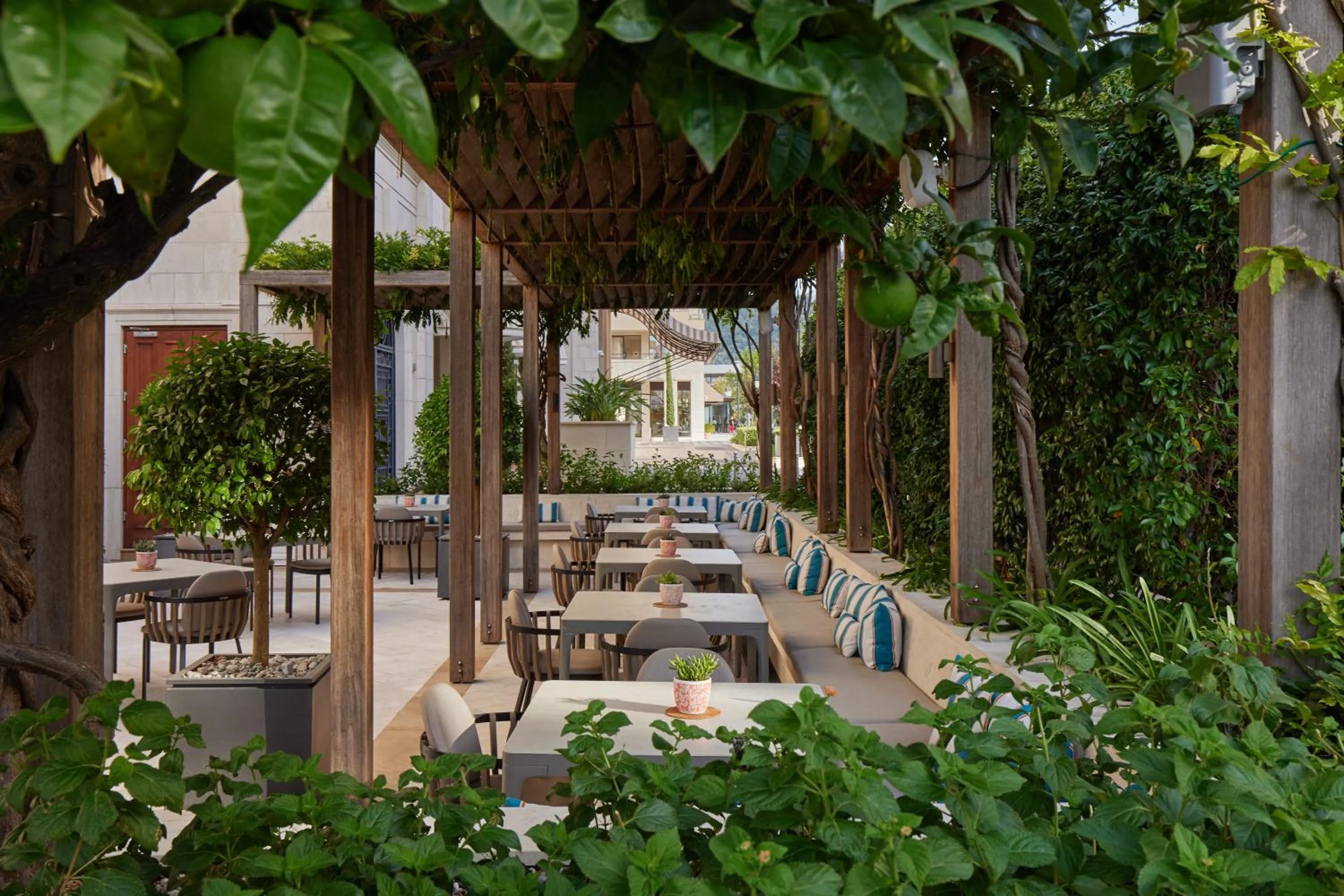 Restaurant/places to eat in Regent Porto Montenegro