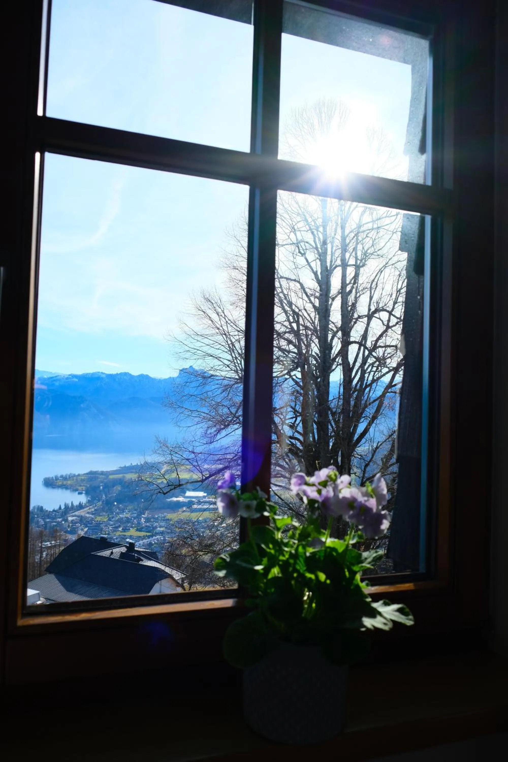 Lake view in Gmundnerberghaus - ROOMS