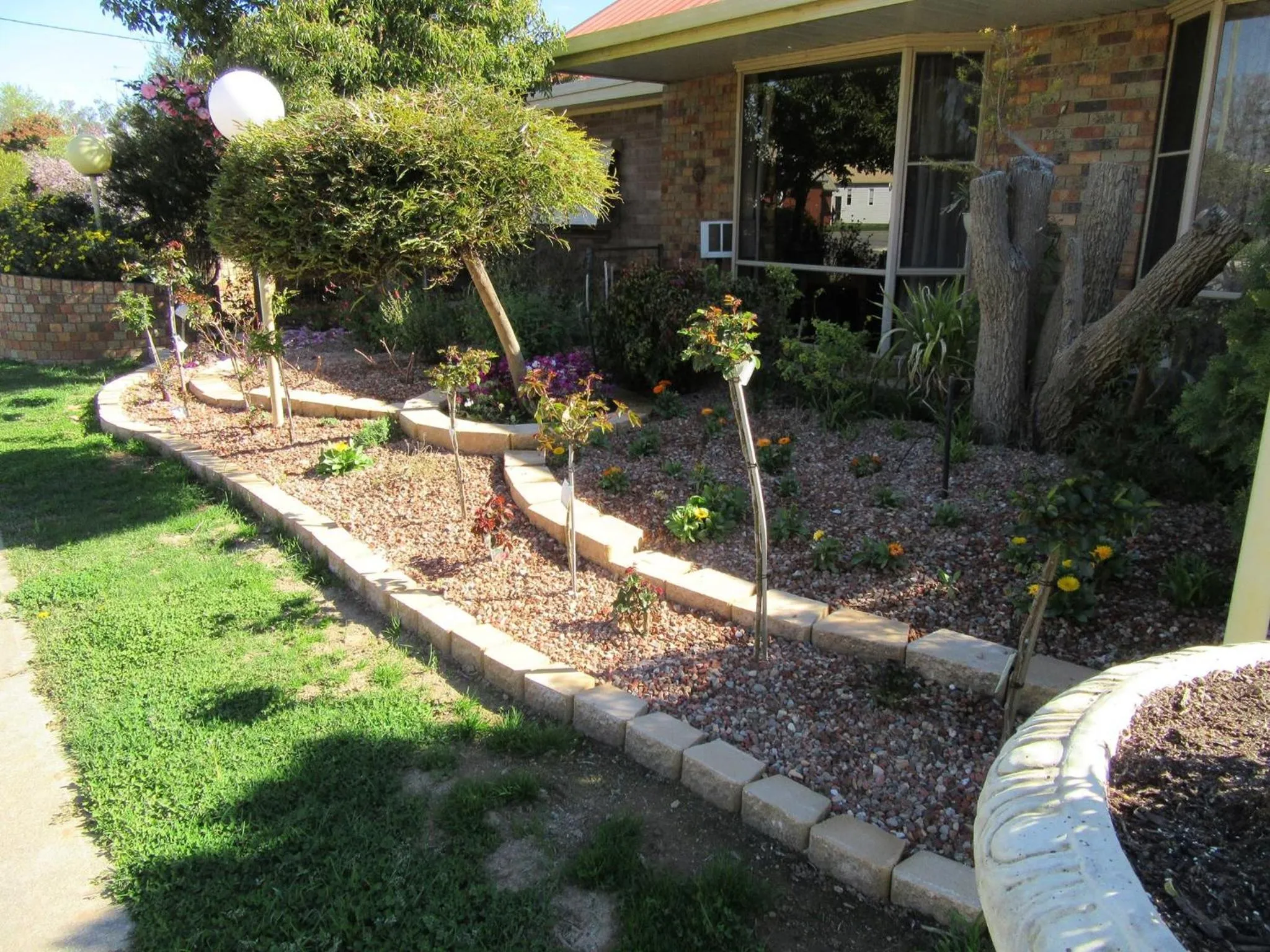 Garden in Acacia Rose Motor Inn