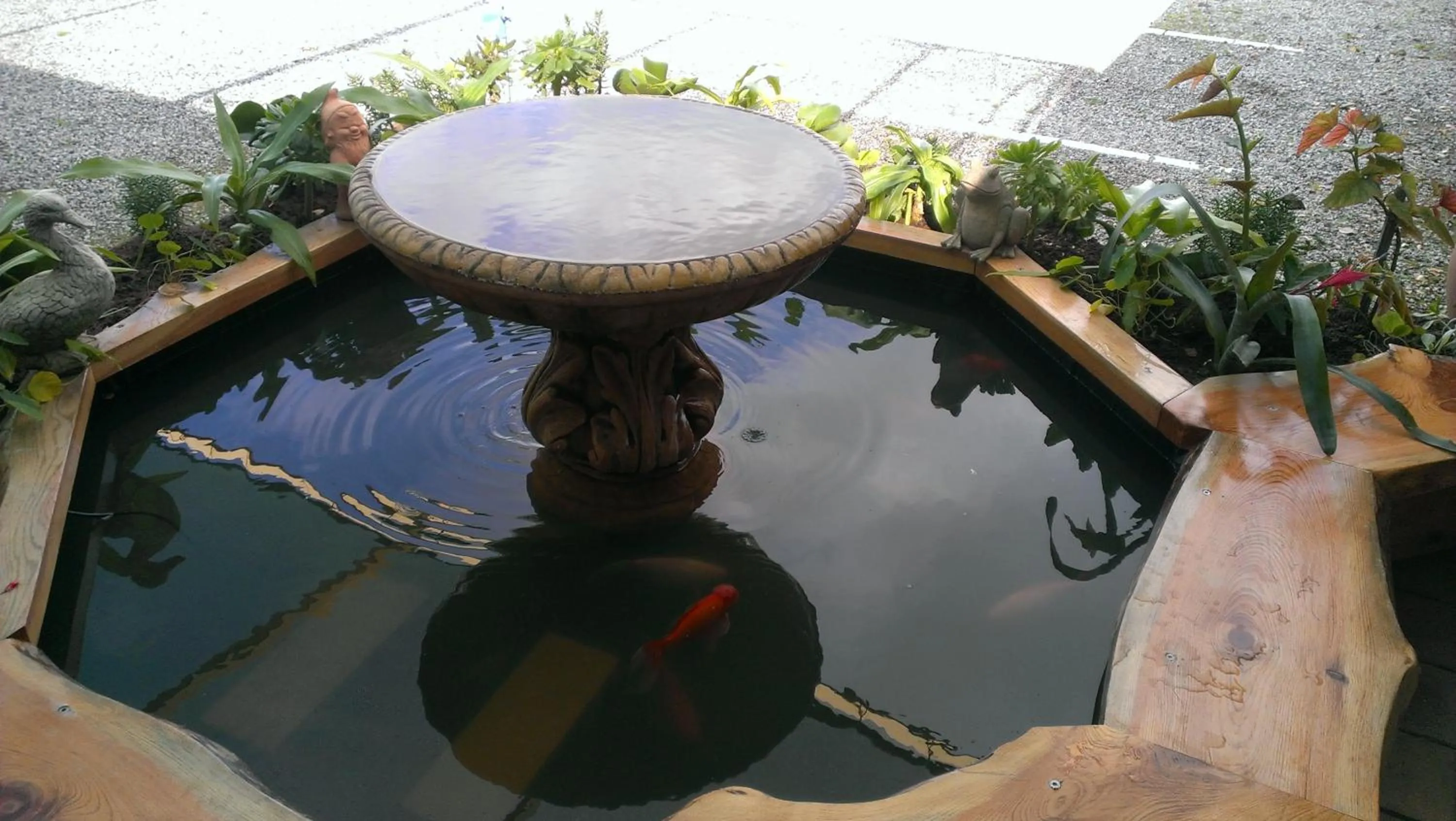 Seating area in Acacia Rose Motor Inn