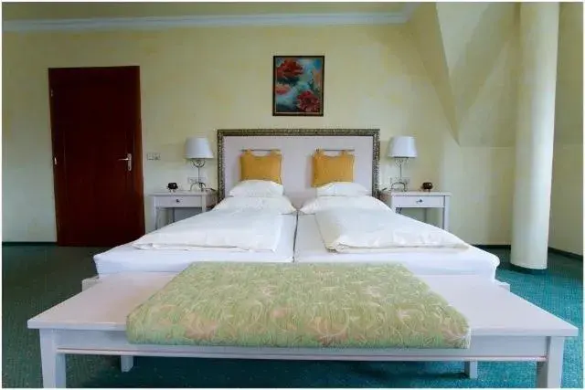 Superior Double Room - single occupancy in Hétkúti Wellness Hotel Superior Double Room - single occupancy in Hétkúti Wellness Hotel