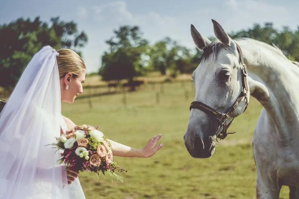 Hétkúti Wellness Hotel