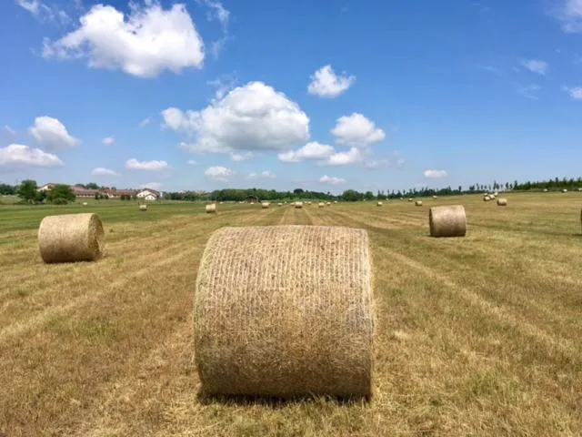 Hétkúti Wellness Hotel