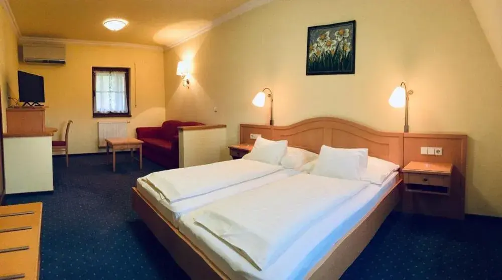 Standard King Room - single occupancy in Hétkúti Wellness Hotel Standard King Room - single occupancy in Hétkúti Wellness Hotel