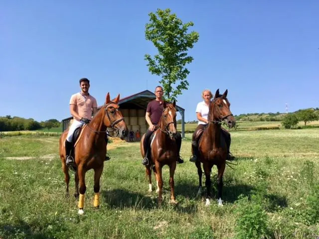 Hétkúti Wellness Hotel