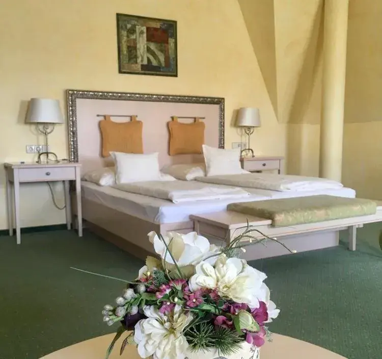 Junior Suite - single occupancy in Hétkúti Wellness Hotel Junior Suite - single occupancy in Hétkúti Wellness Hotel