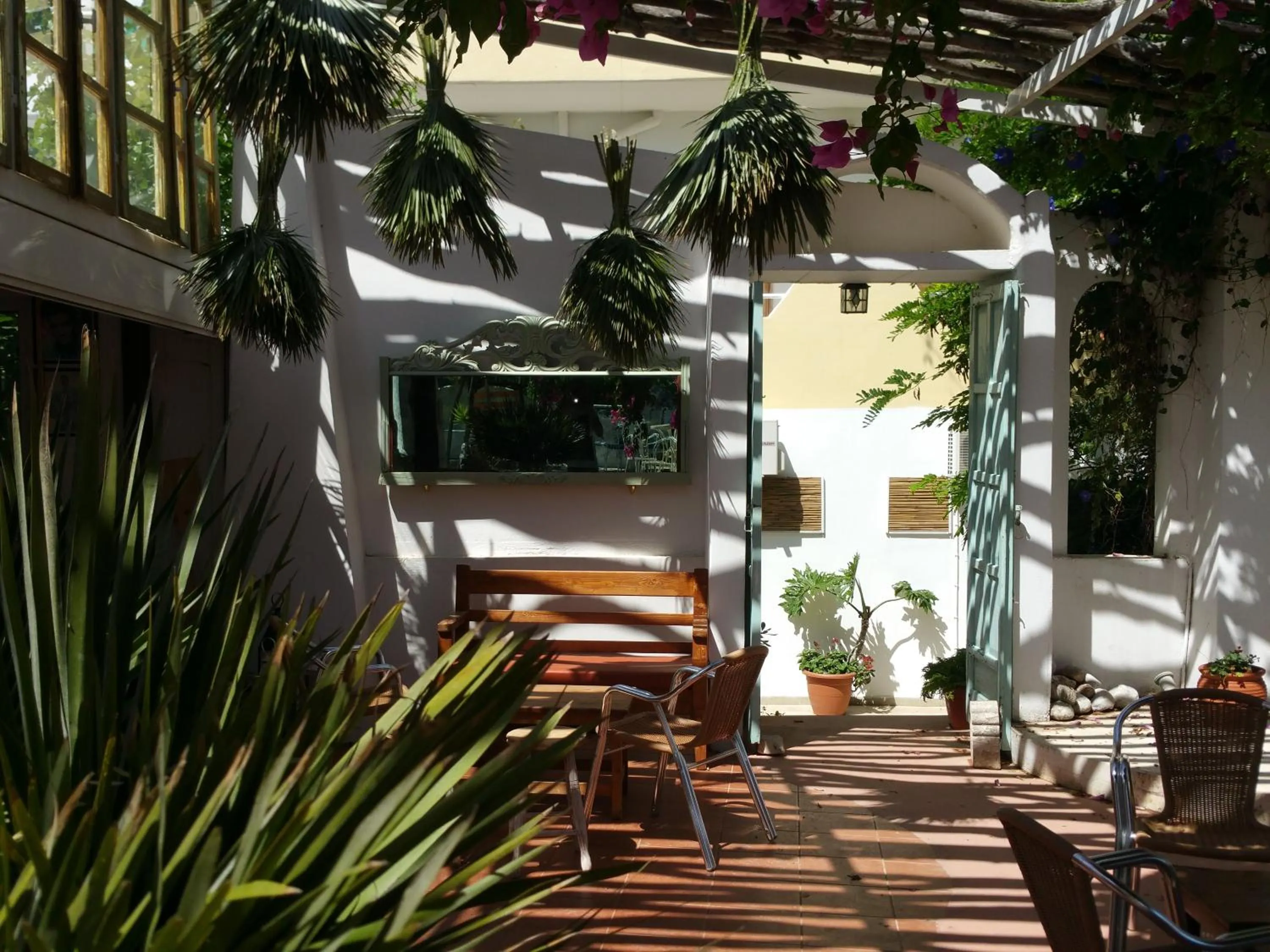 Garden in Gorgona Studios