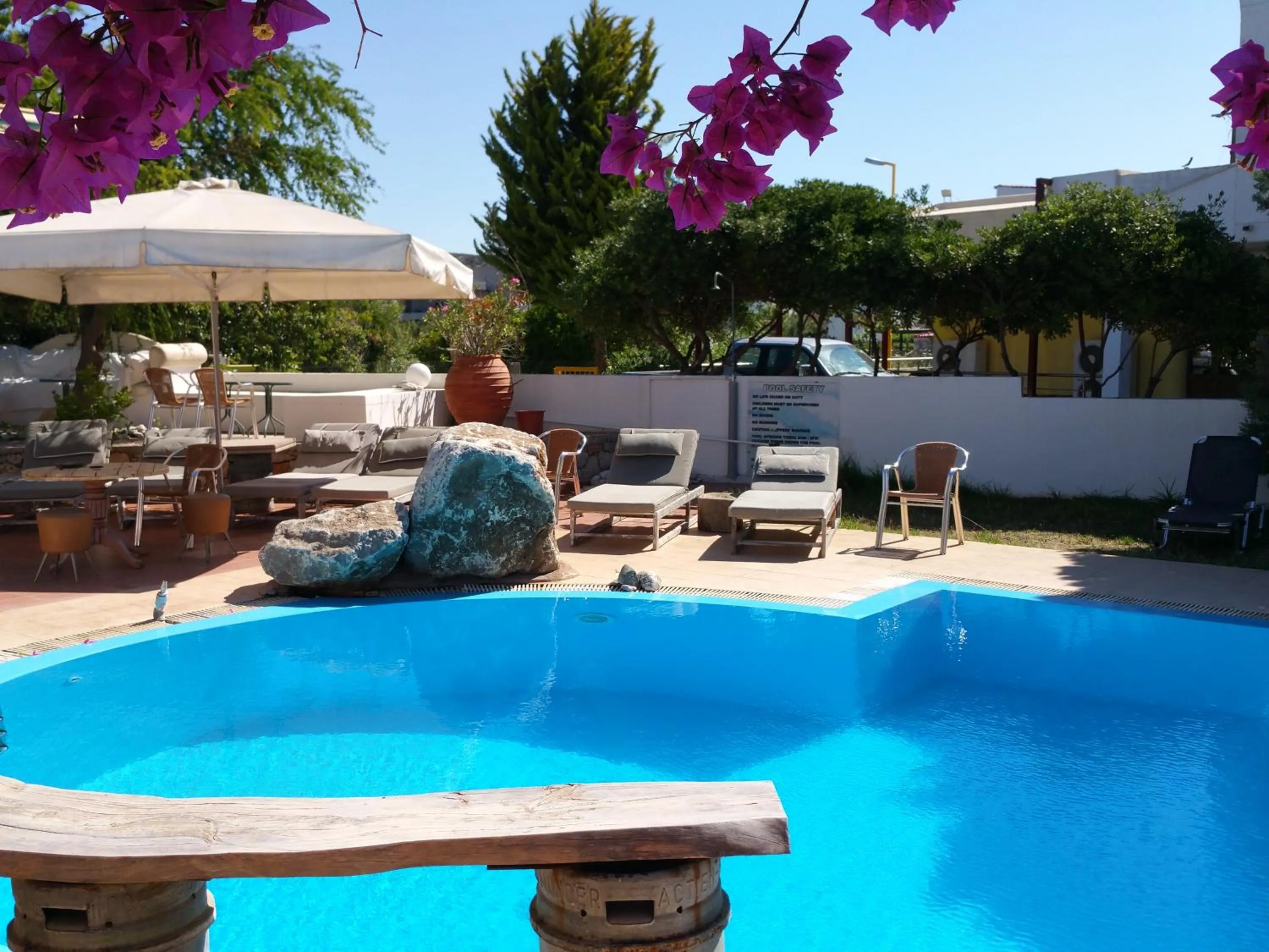 Garden in Gorgona Studios