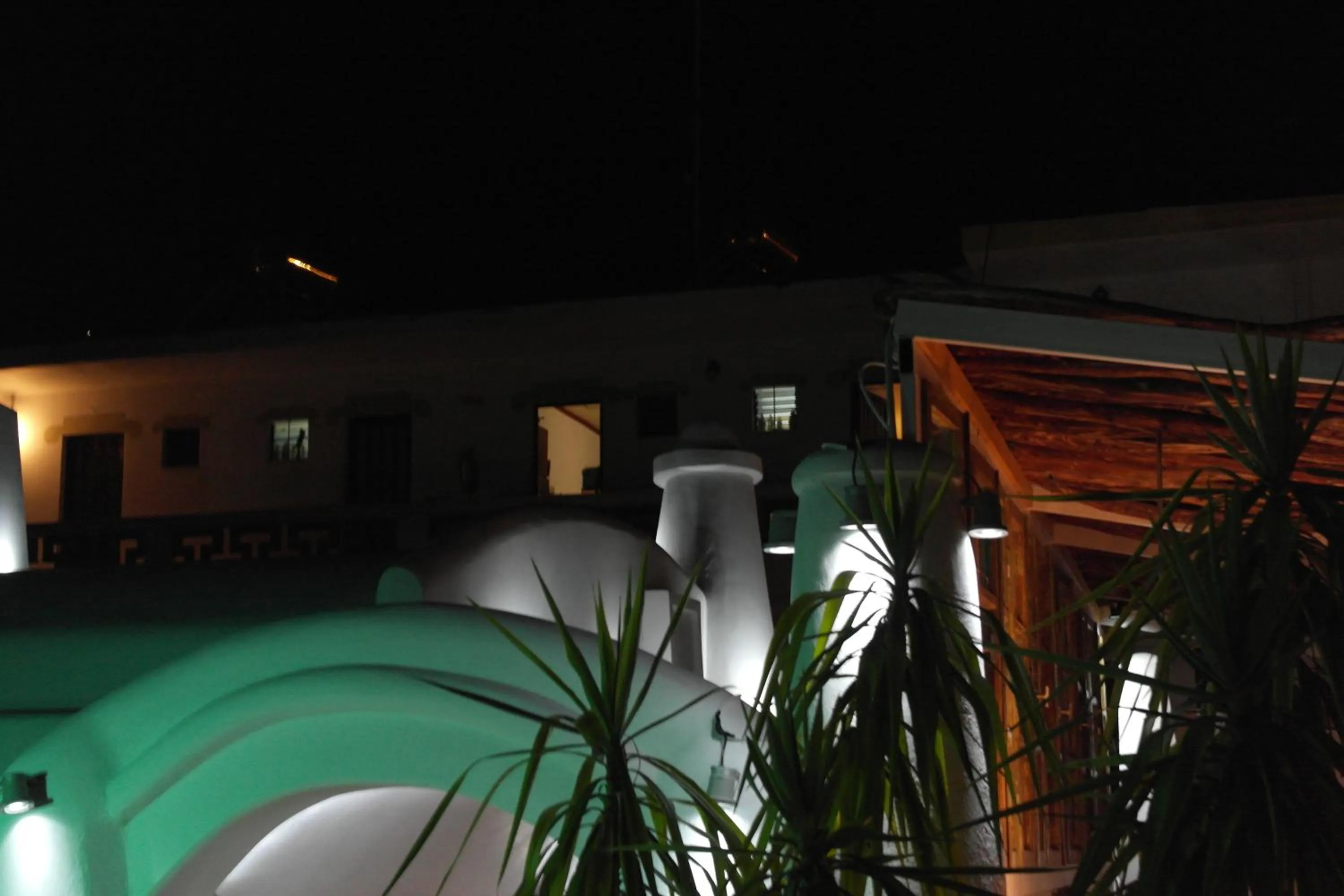 Garden in Gorgona Studios