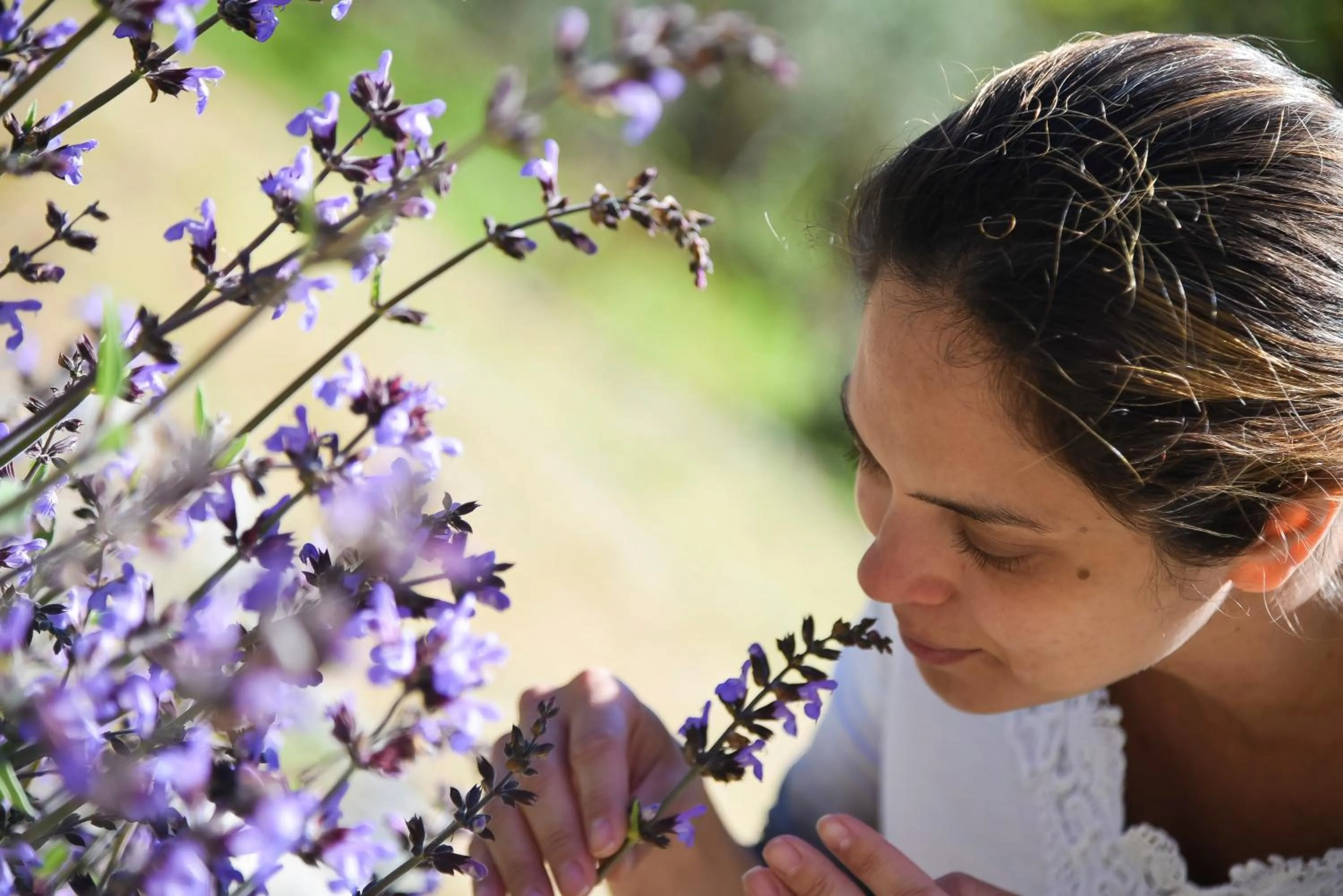 Garden in Il Giardino di Julia B&B