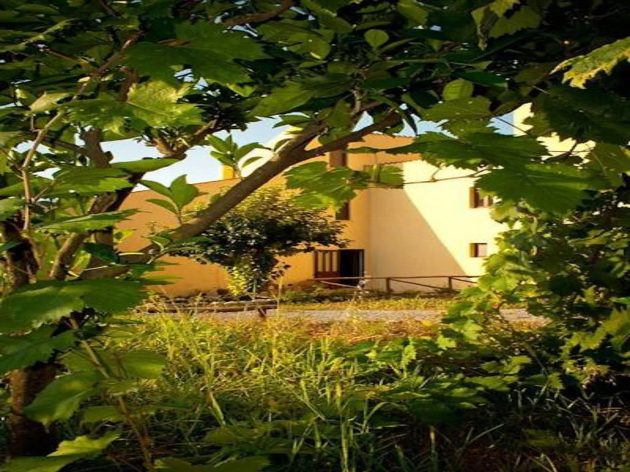 Garden in Il Giardino di Julia B&B