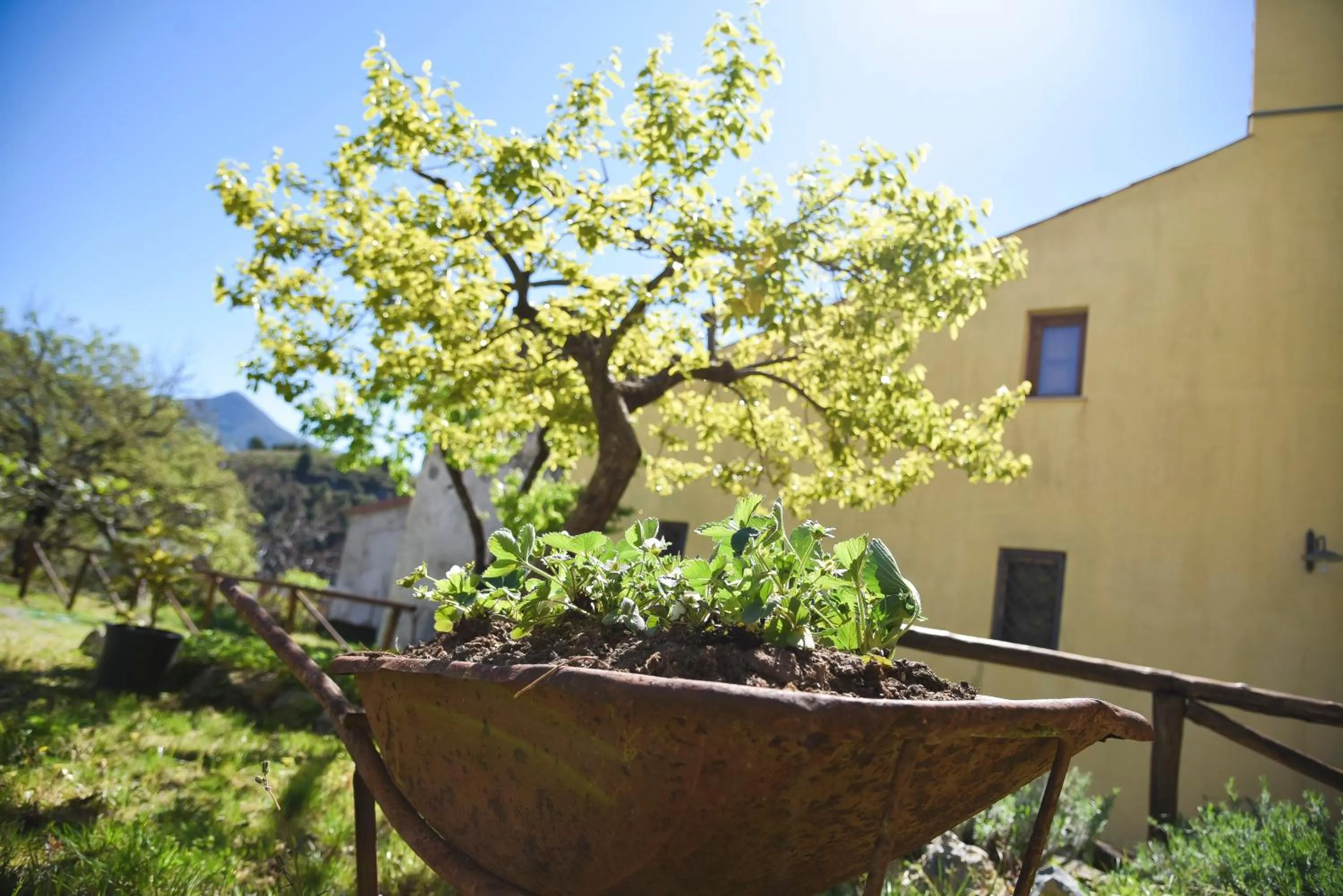 Garden view in Il Giardino di Julia B&B