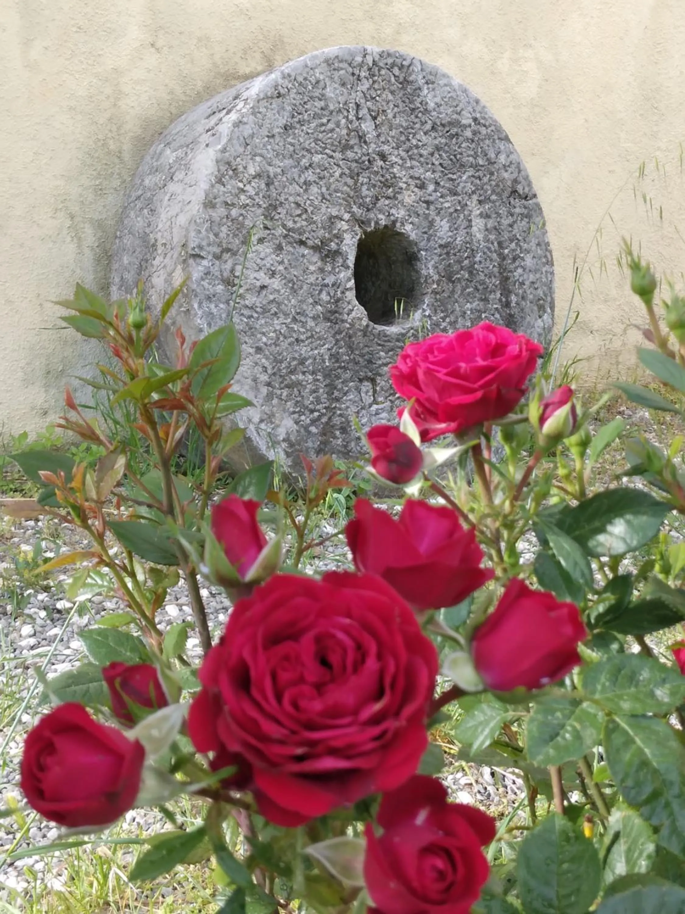 Day in Il Giardino di Julia B&B