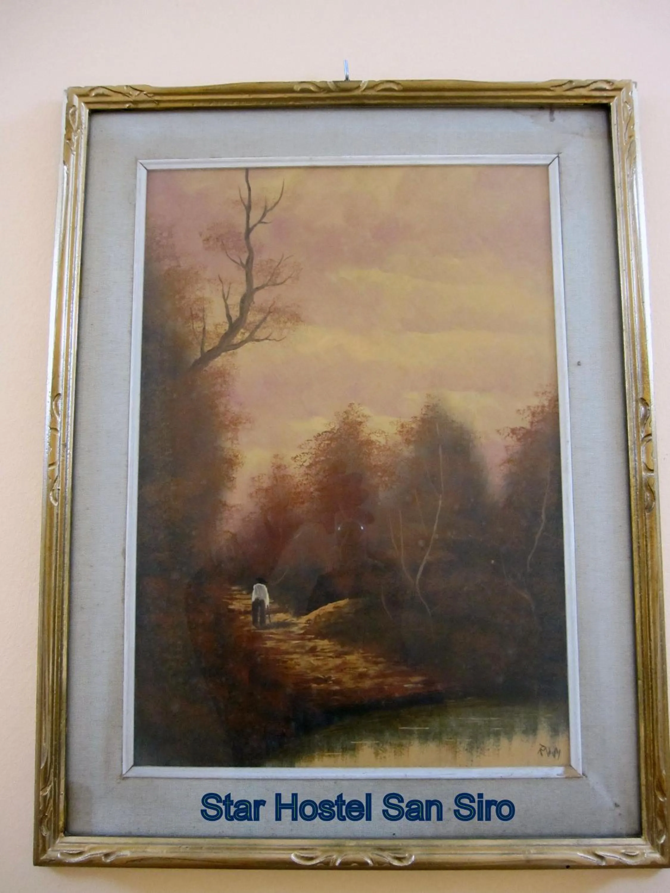 Decorative detail in Star Hostel San Siro Fiera