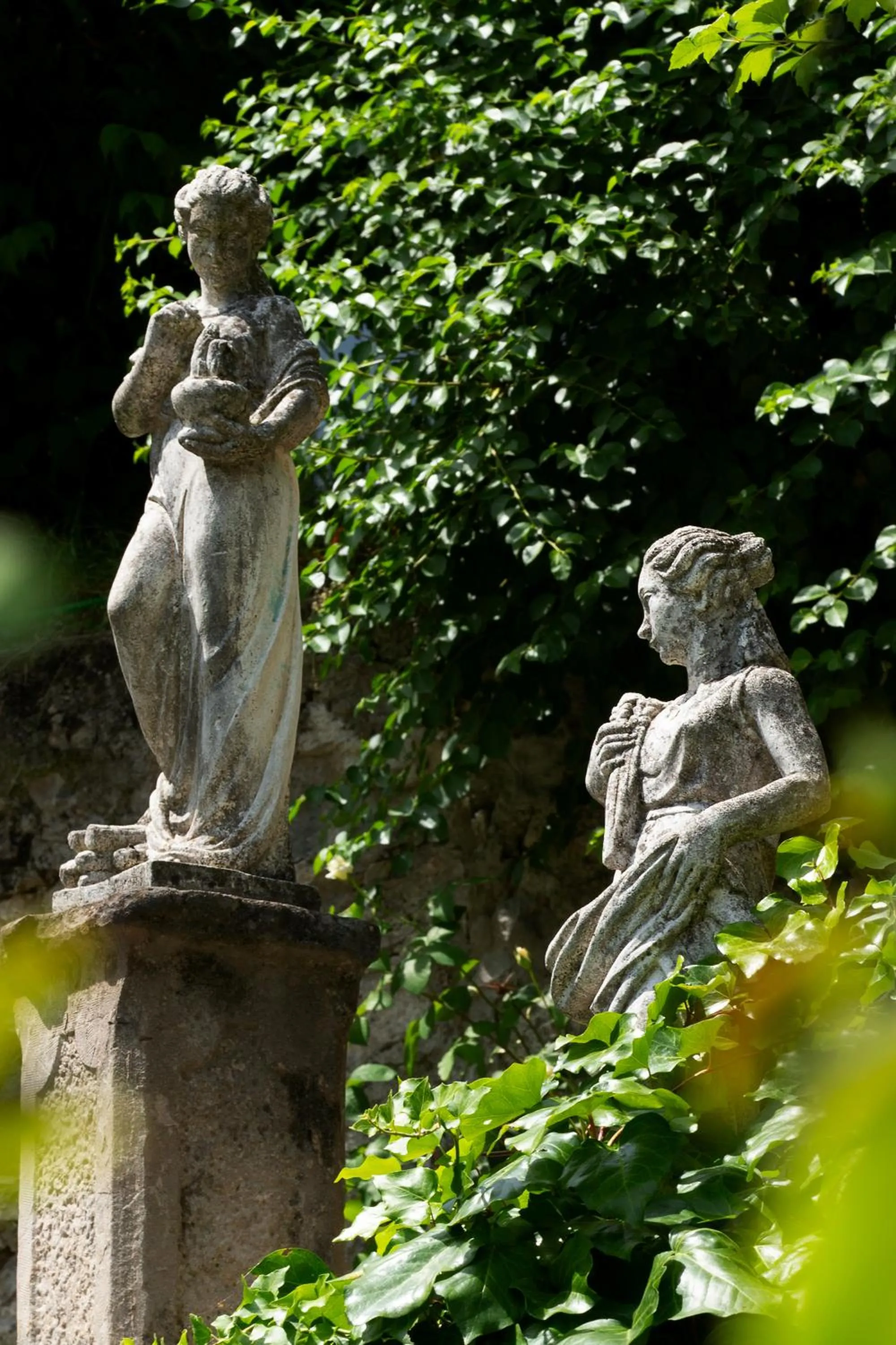 Garden in Villa Angelica