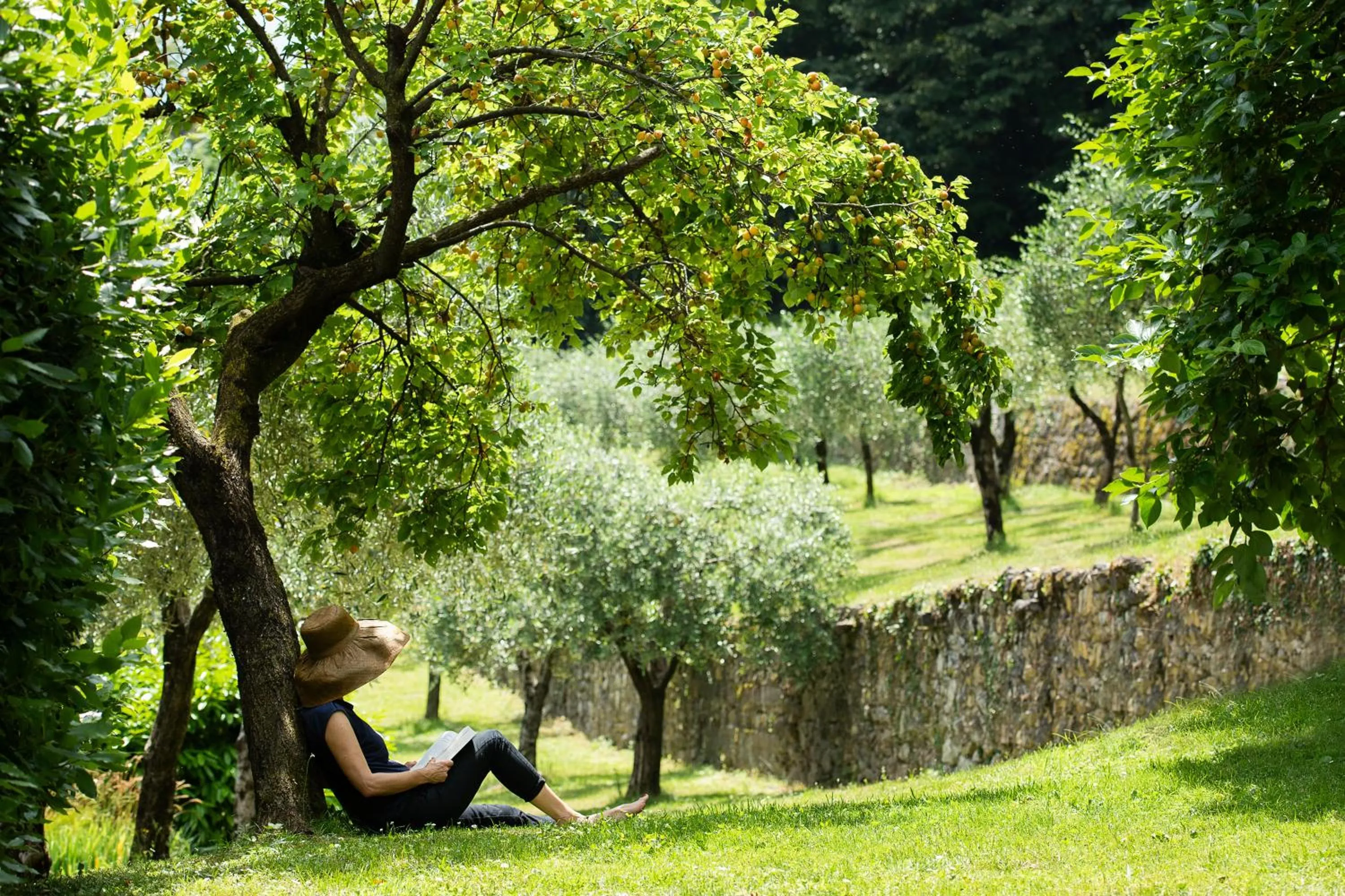 Decorative detail in Villa Angelica