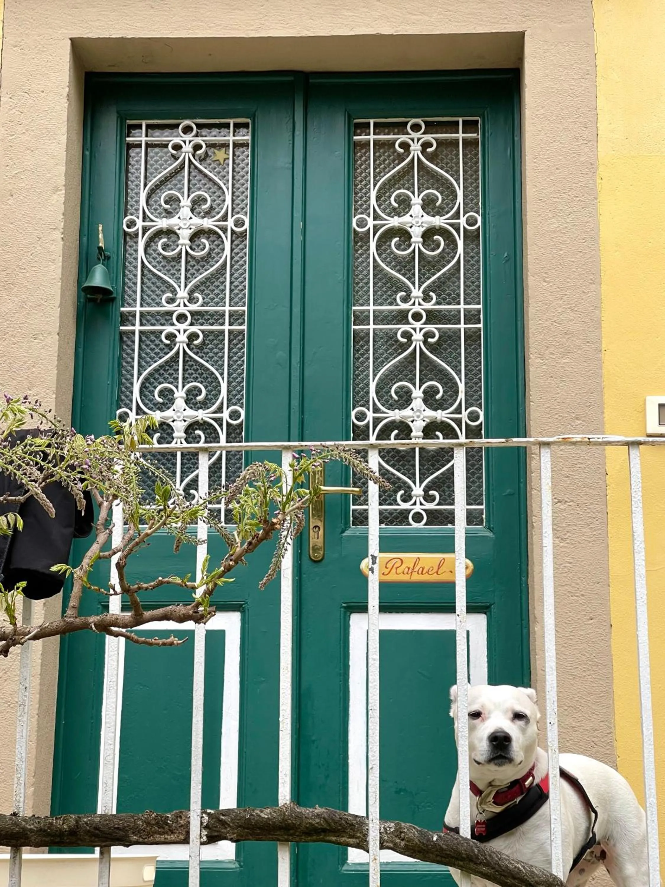 Facade/entrance in Villa Angelica