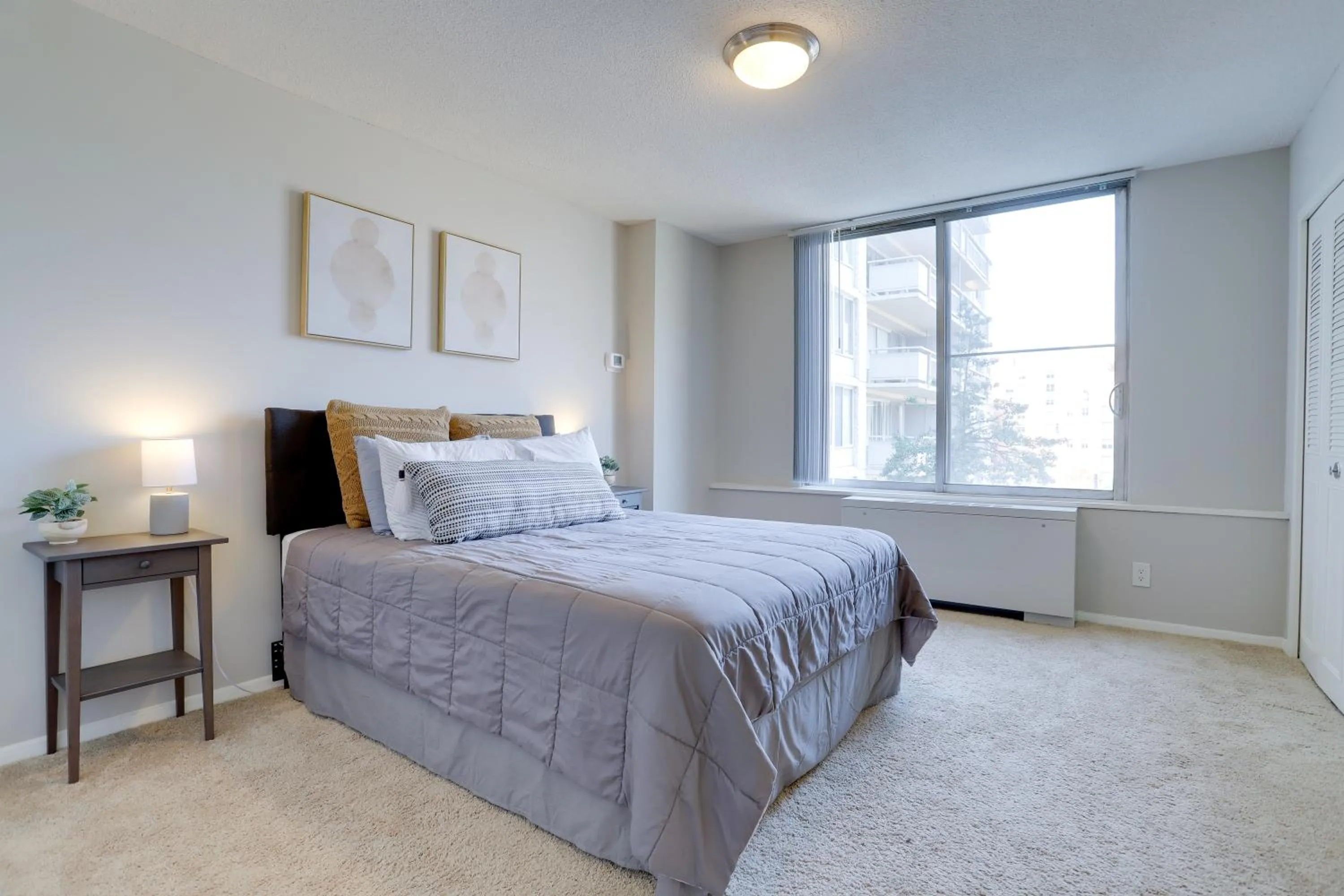 Photo of the whole room in Beautiful 2BR Apartment at Crystal City With Gym