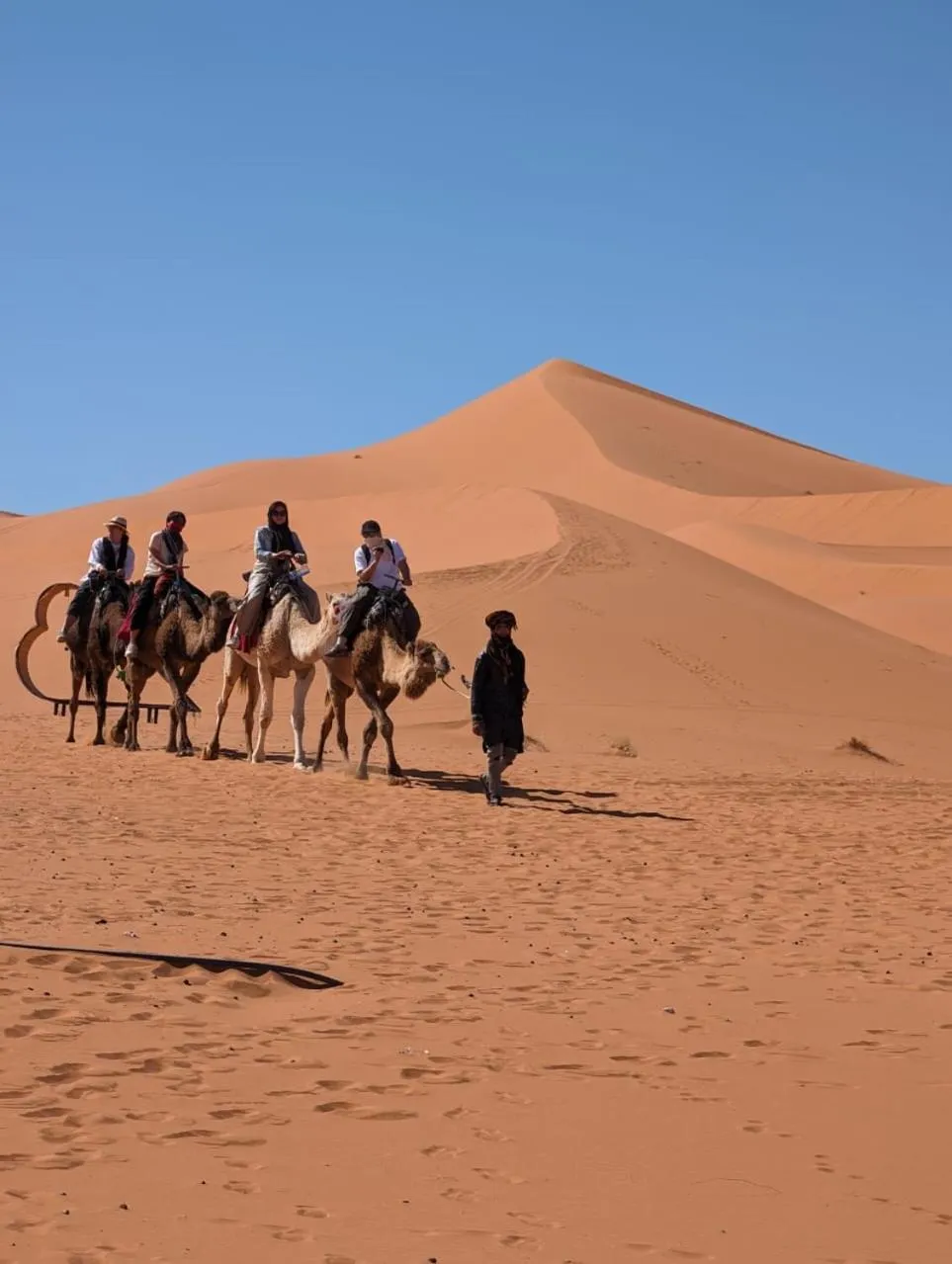 Animals in Riad Merzouga Dunes
