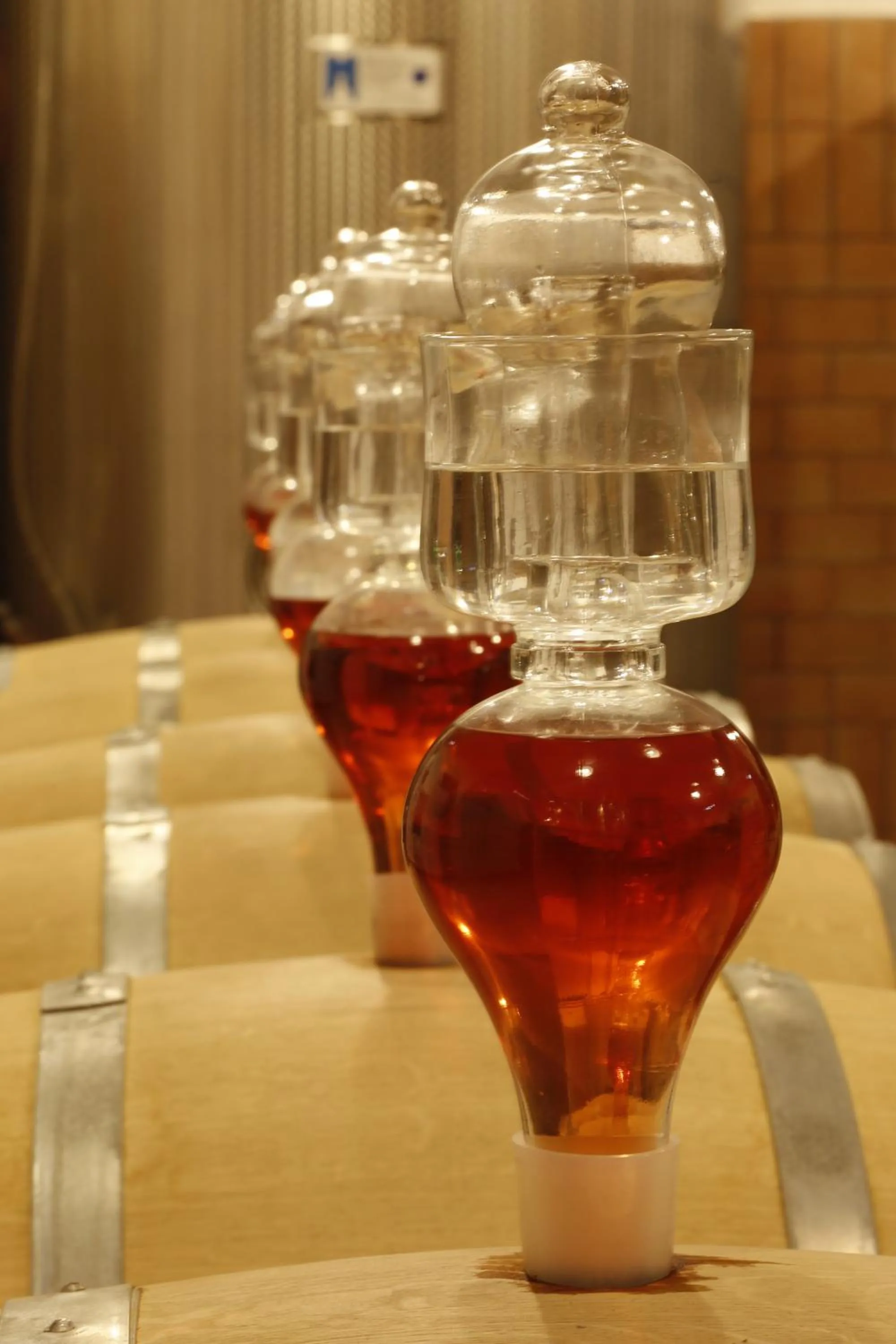 Entertainment in Agriturismo Posta Pastorella